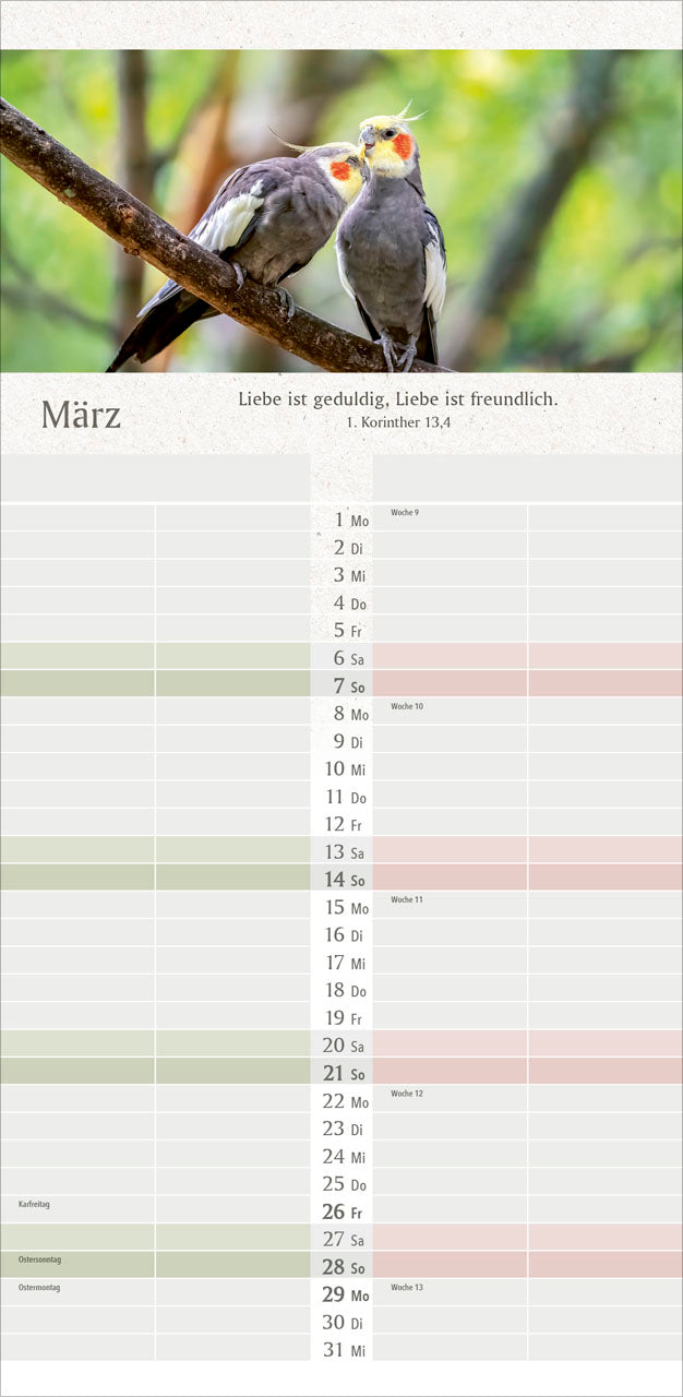 fontis-wir-zwei-planer-2027-wandplaner-paare-spiralbindung image 5
