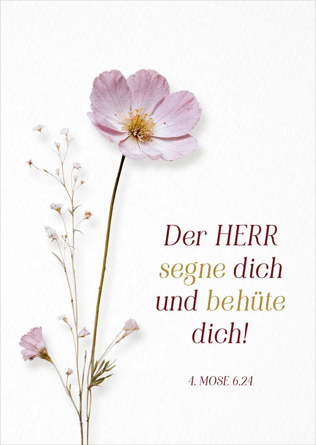 fontis-papeterie-der-herr-segne-dich-postkarten-12er-set image 1