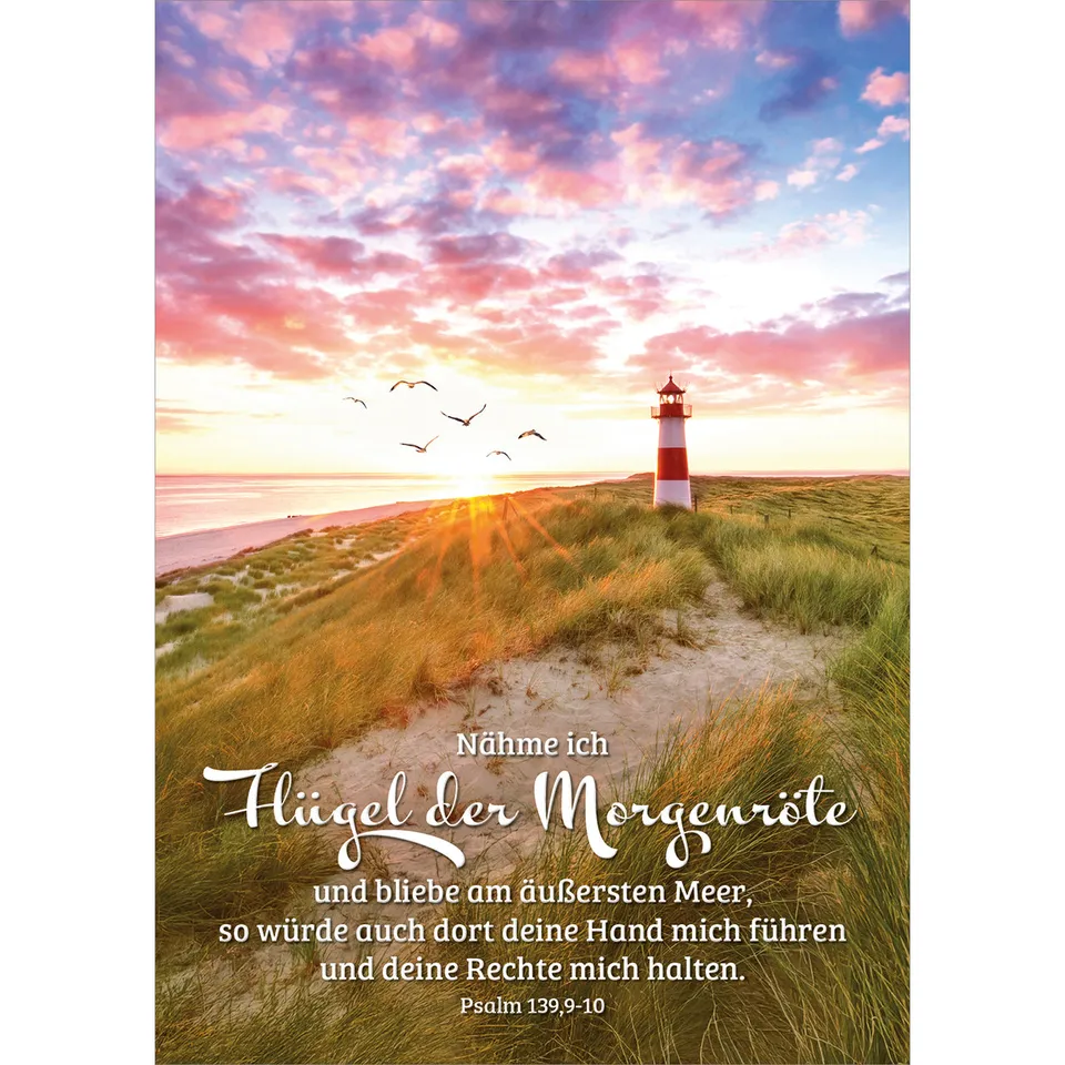 fontis-papeterie-n-hme-ich-fl-gel-der-morgenr-te-postkarten-12er image 1