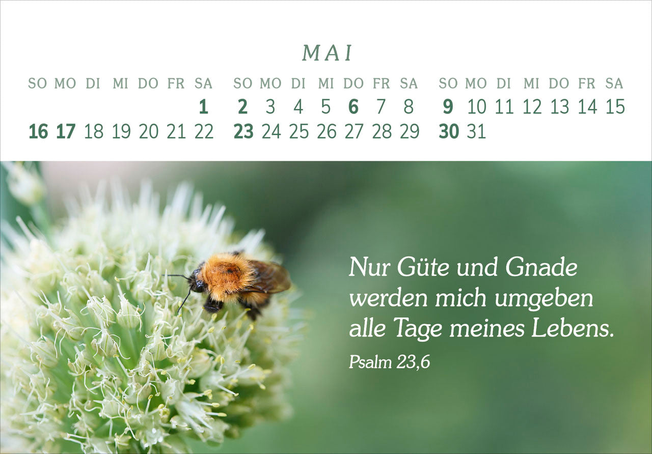 fontis-das-geschenk-der-freude-2027-aufstellkalender-gro-druck image 7