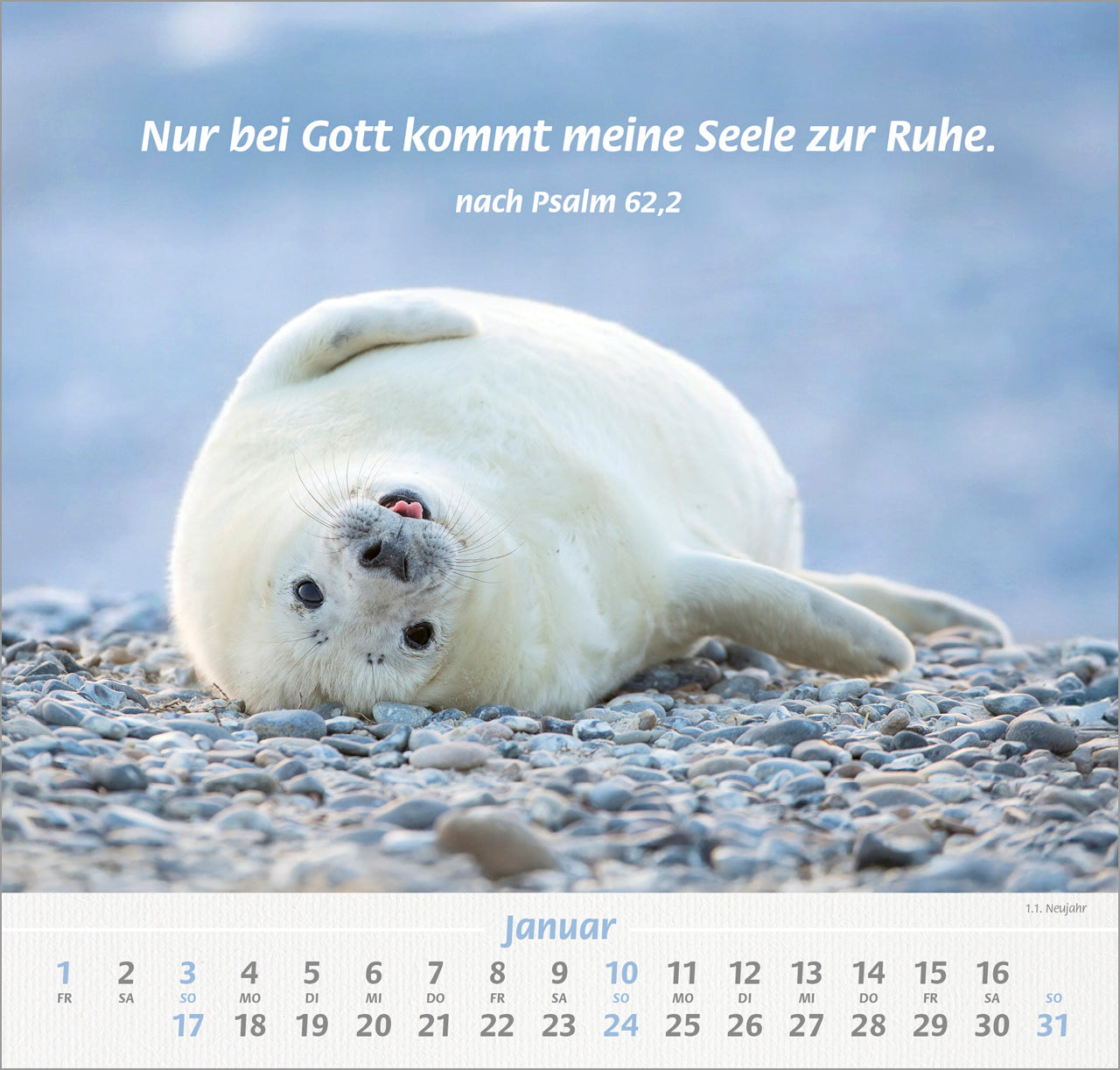 ich-hab-dich-gern-2027-wandkalender-tier-motive-spiralbindung image 3