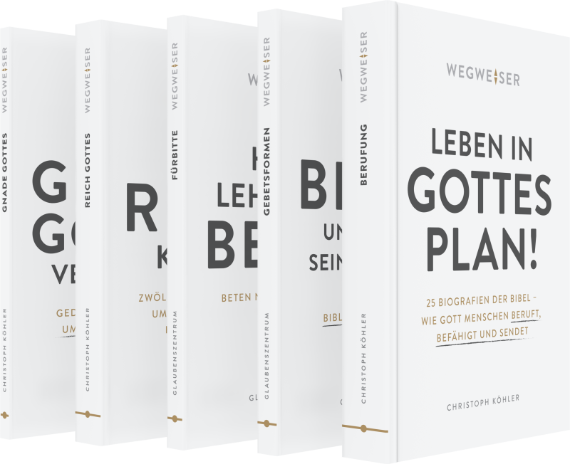 wegweiser-reihe-5er-set-b-cher-paperback-lebenshilfe image 1