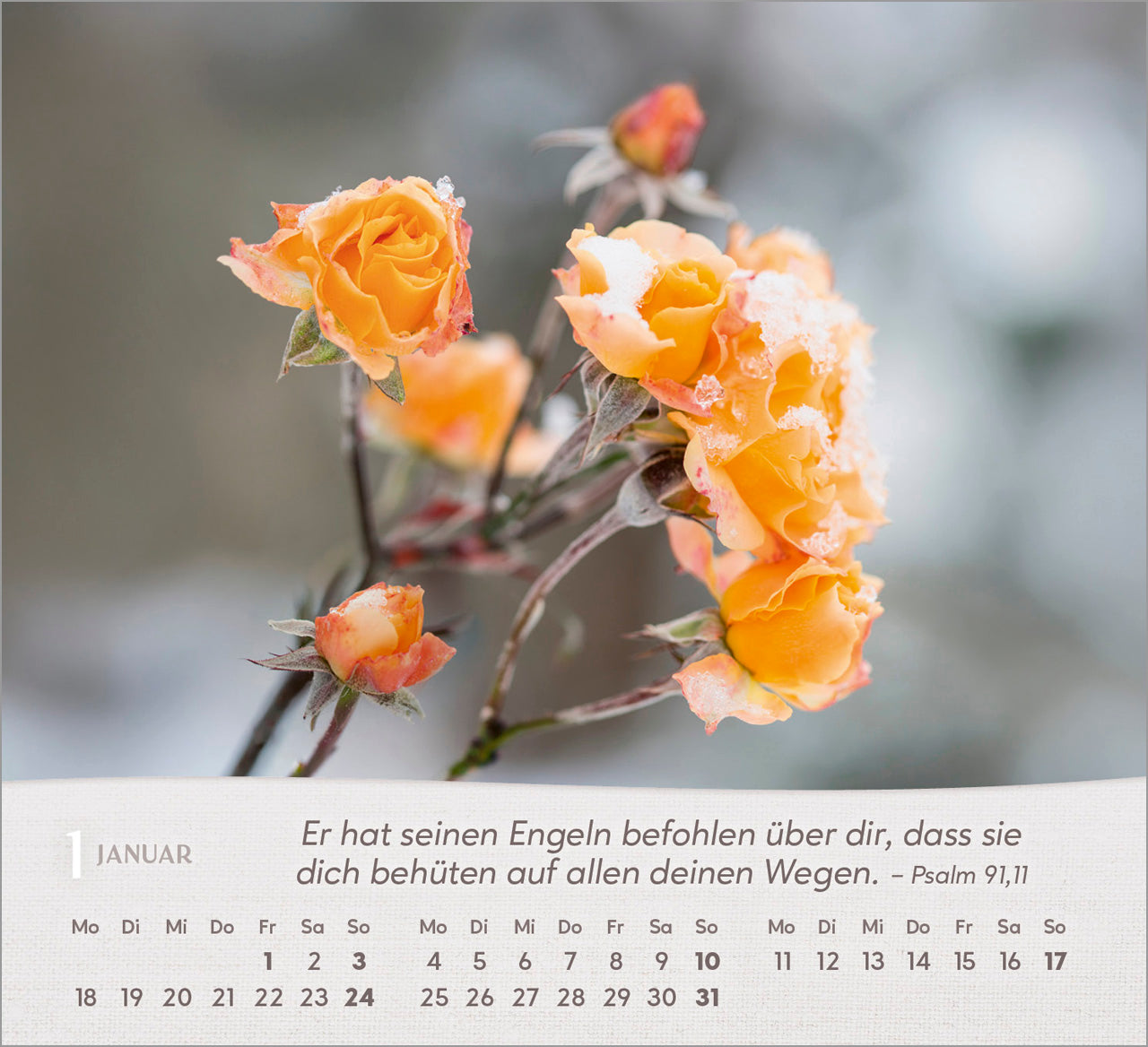 rosen-2027-aufstellkalender-tischkalender-bibelverse-spiralbindung image 3