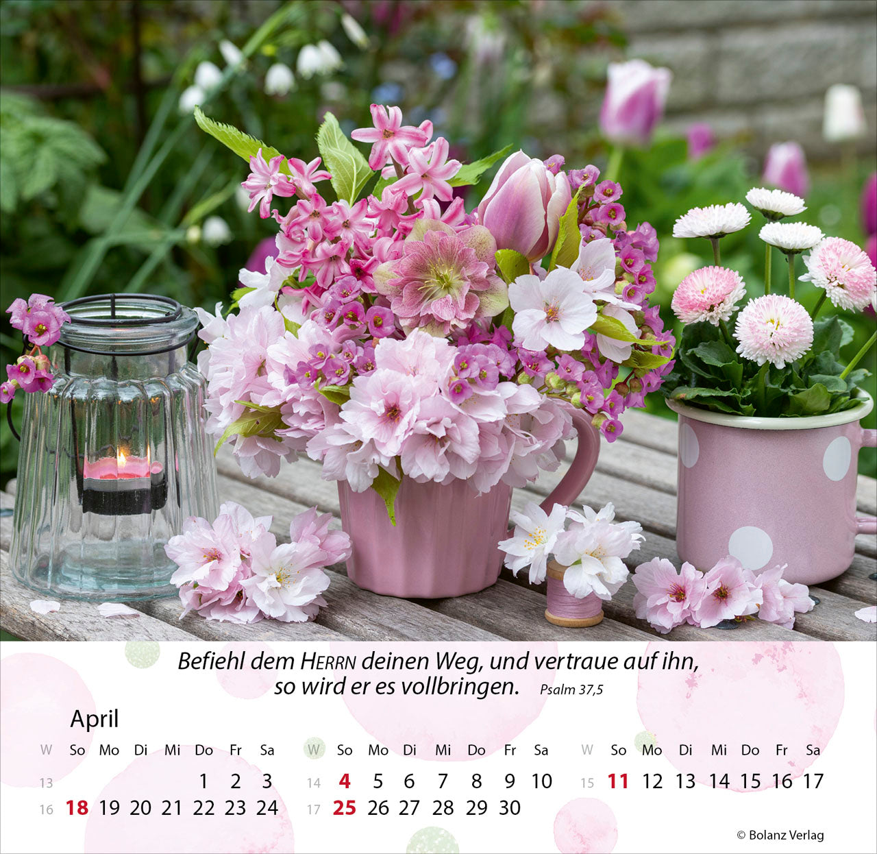 fontis-g-rten-2027-postkartenkalender-mit-bibelversen image 6
