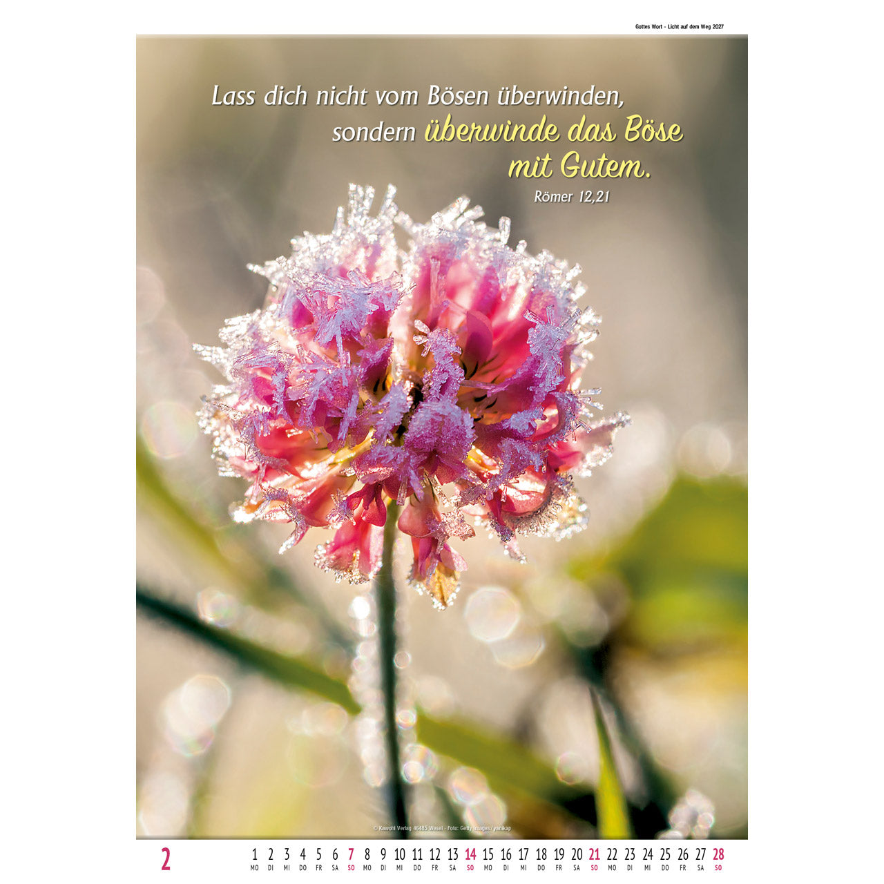 fontis-gottes-wort-licht-auf-dem-weg-2027-wandkalender-spirale image 4