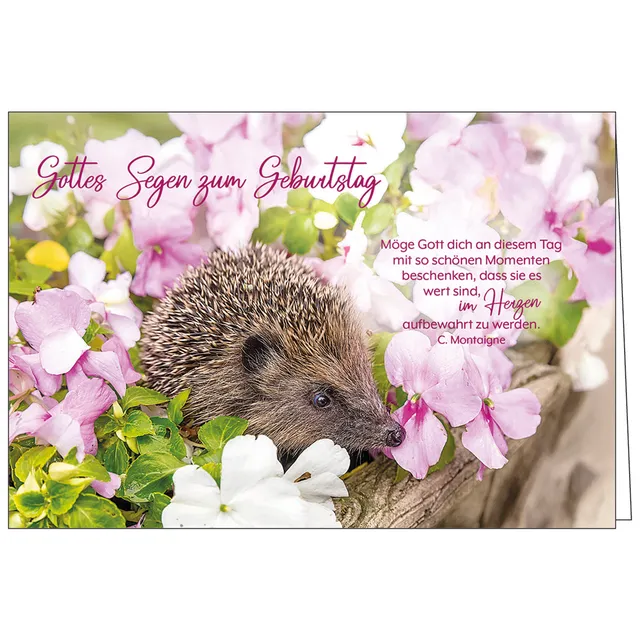 fontis-papeterie-gottes-segen-geburtstag-faltkarte-mit-umschlag image 1