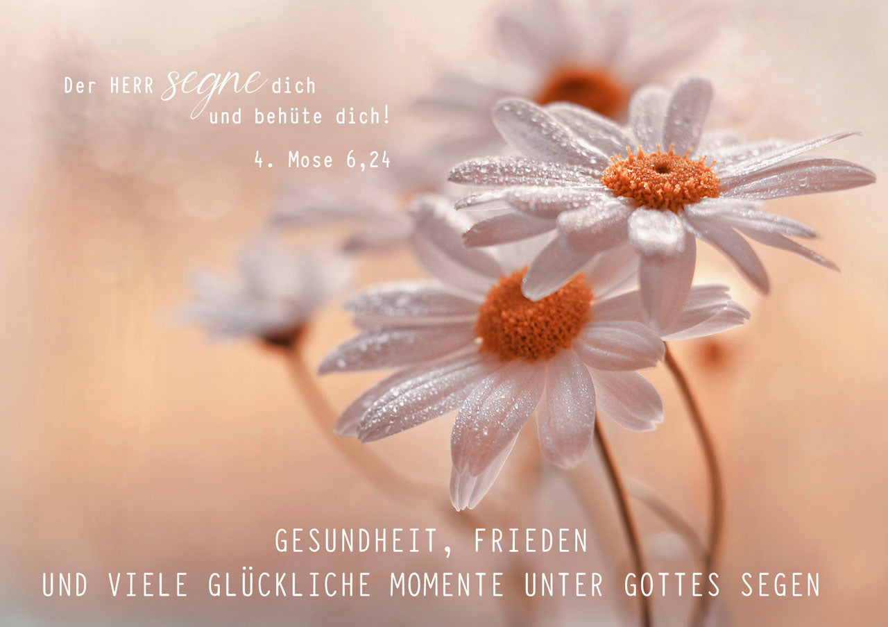 der-herr-segne-dich-faltkarte-segen-mit-naturumschlag image 1
