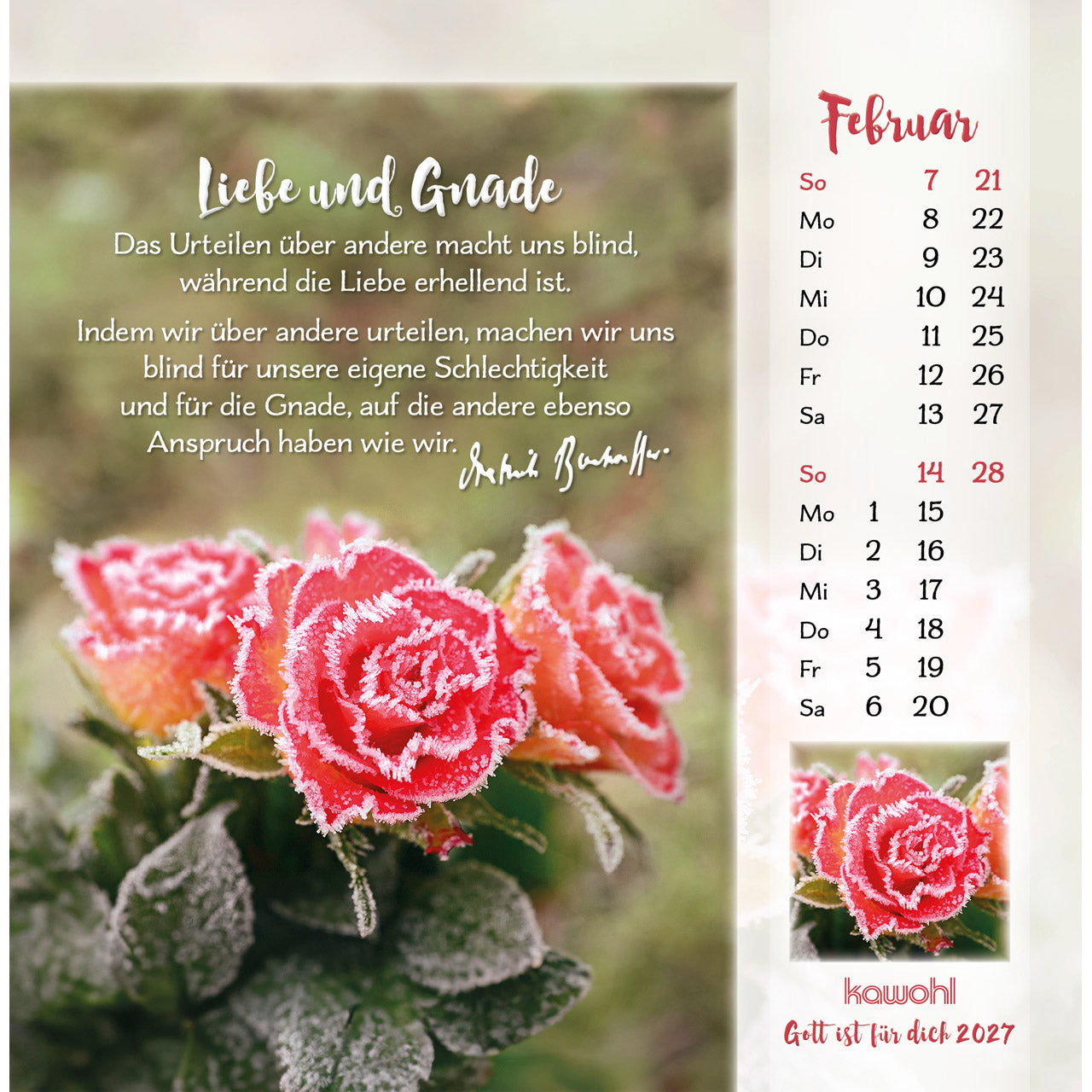 fontis-gott-ist-f-r-dich-2027-postkartenkalender-16x16 image 4