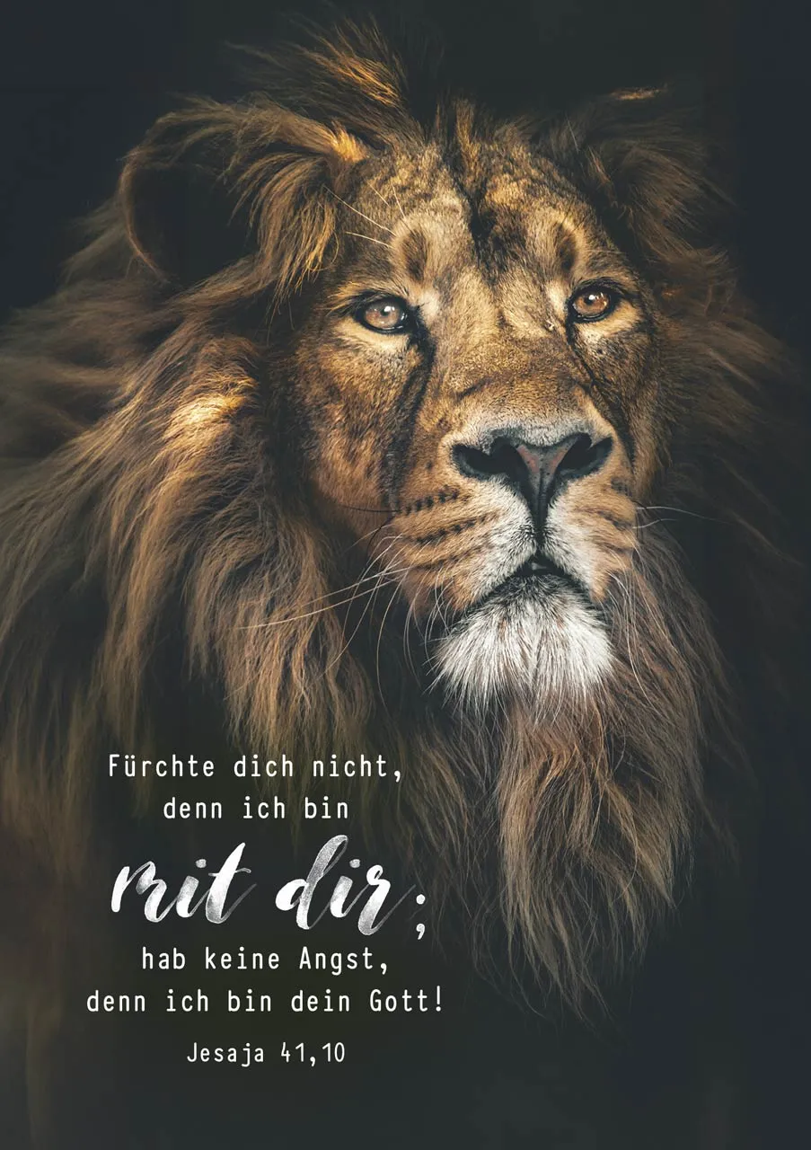 fontis-papeterie-f-rchte-dich-nicht-postkarten-12er-l-we image 1