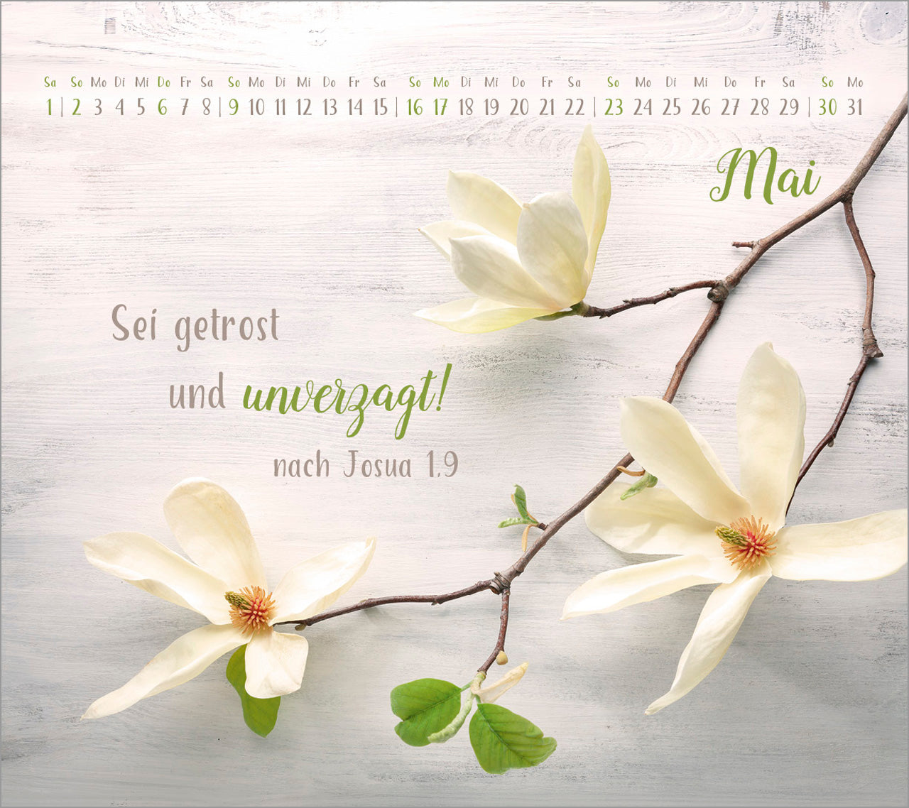 fontis-kalender-segensworte-2027-aufstellkalender-tischkalender image 7