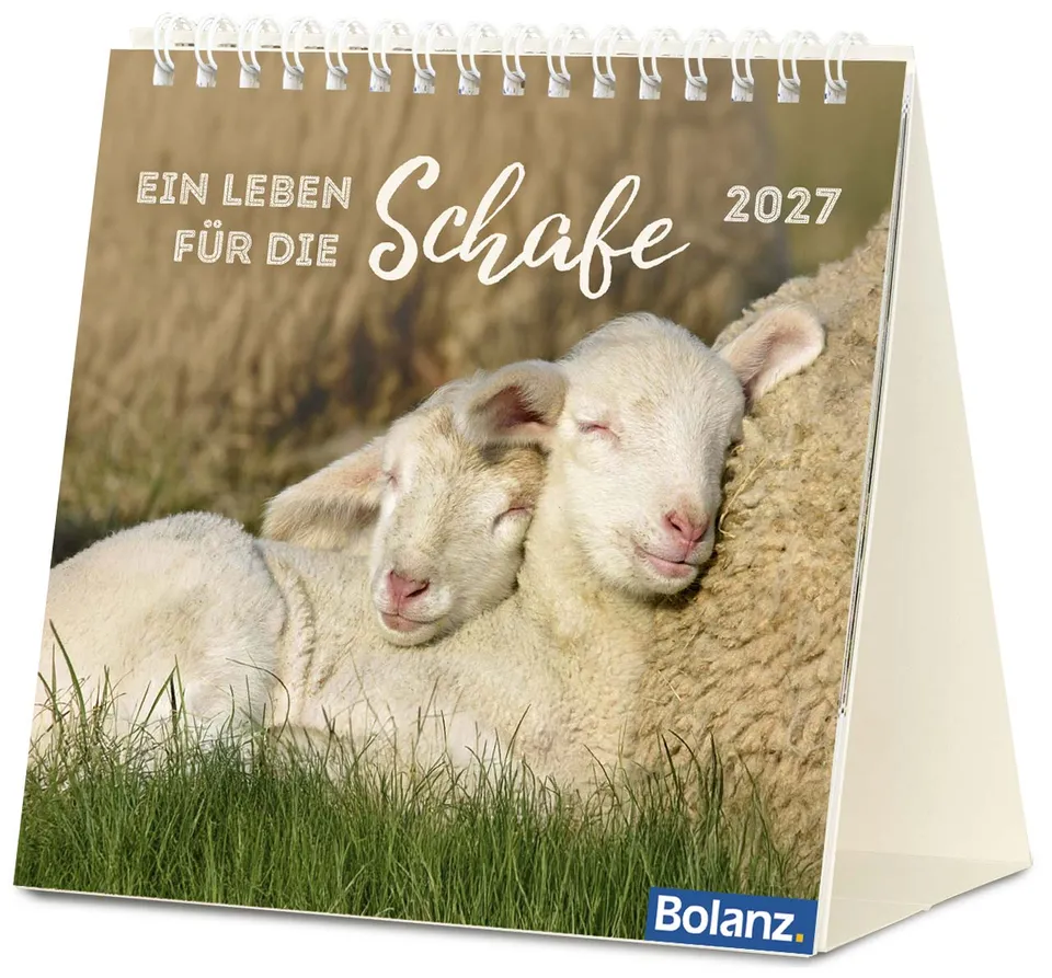 ein-leben-f-r-die-schafe-2027-tischkalender-schafe image 1