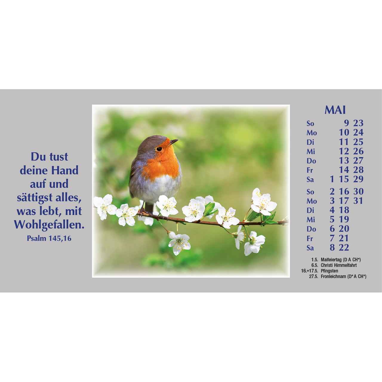 fontis-wege-zur-stille-2027-autokalender-komplett-set-psalmen image 7