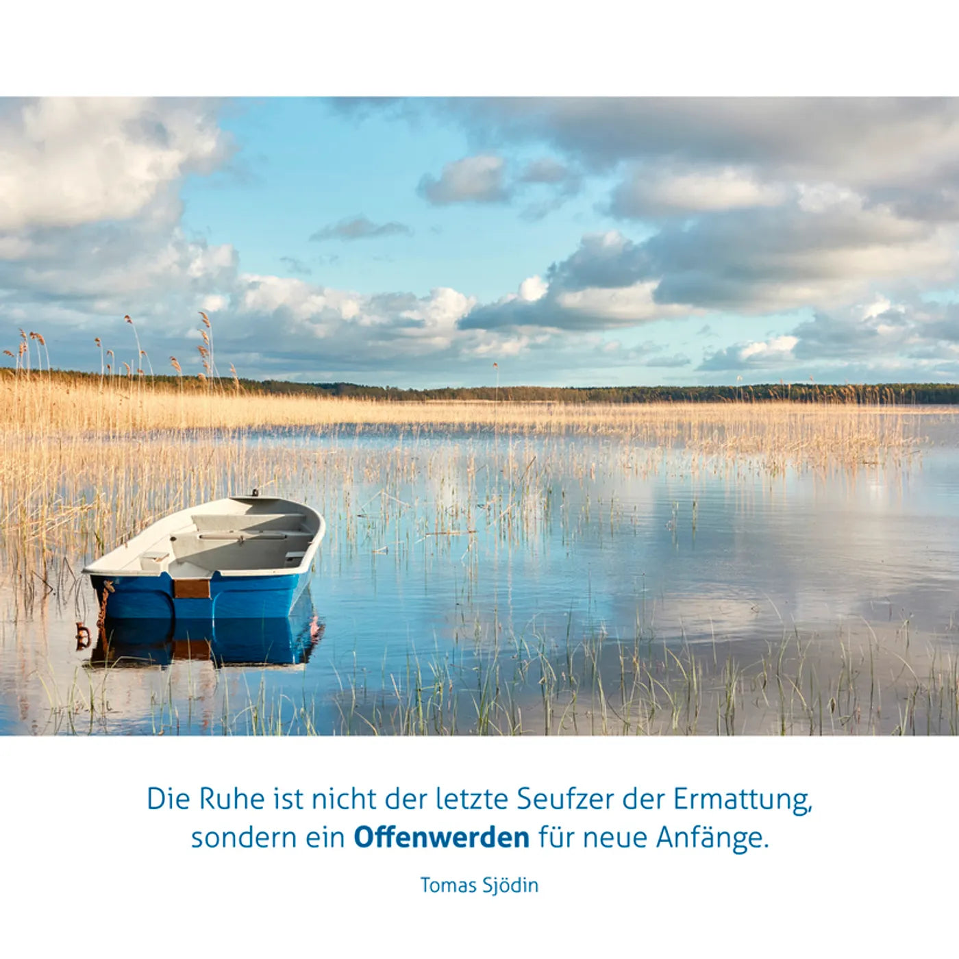 fontis-dem-leben-tiefe-geben-aufstellbuch-spiralbindung image 5
