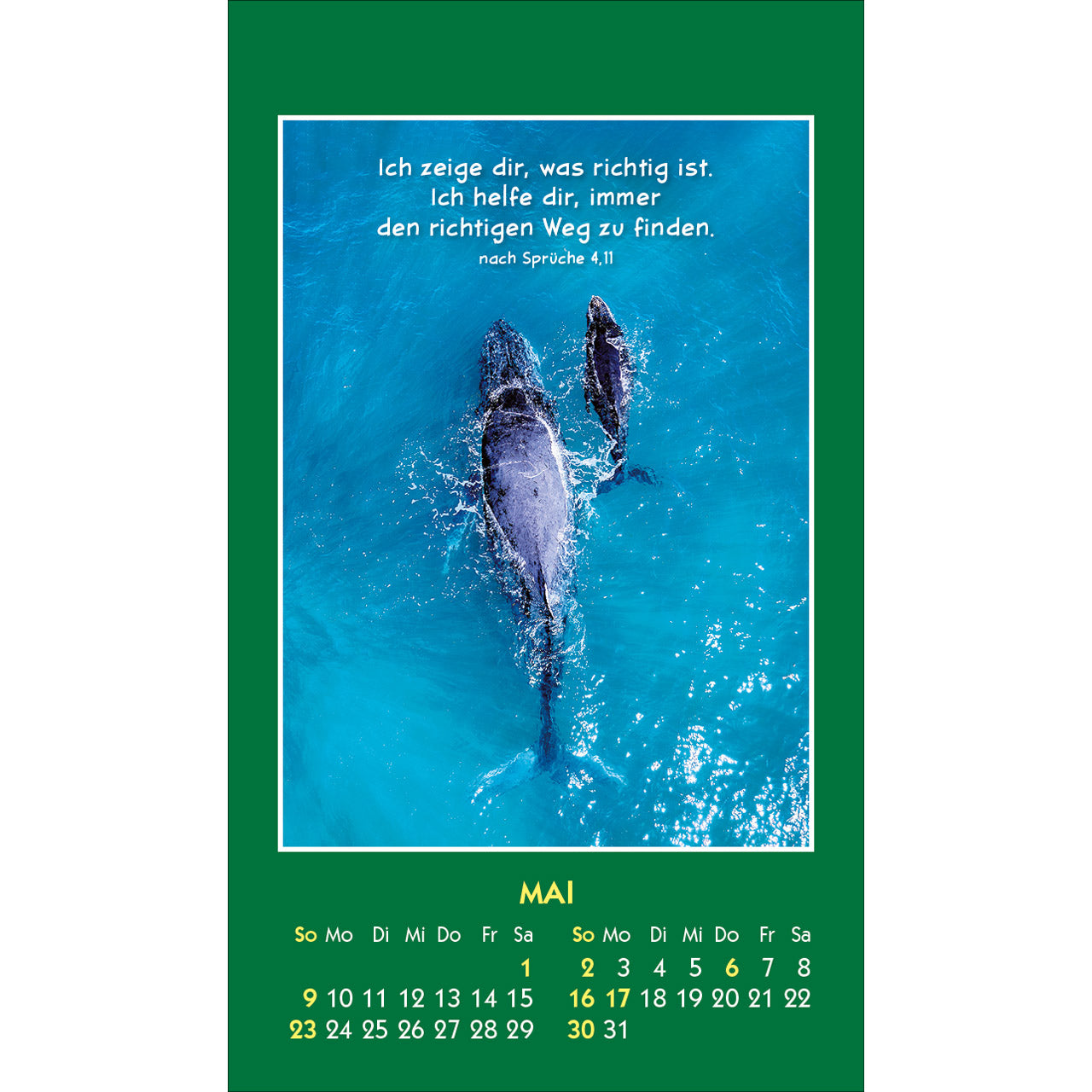 fontis-kalender-hallo-du-2027-aufkleberkalender-tiere image 7