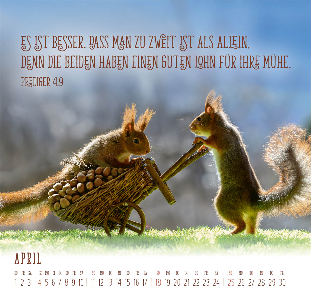 fontis-kalender-du-machst-mich-froh-2027-wandkalender-eichh-rnchen image 6