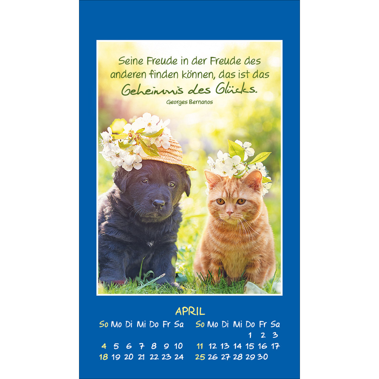fontis-mini-katzen-tatzen-2027-aufkleberkalender-spiralbindung image 6