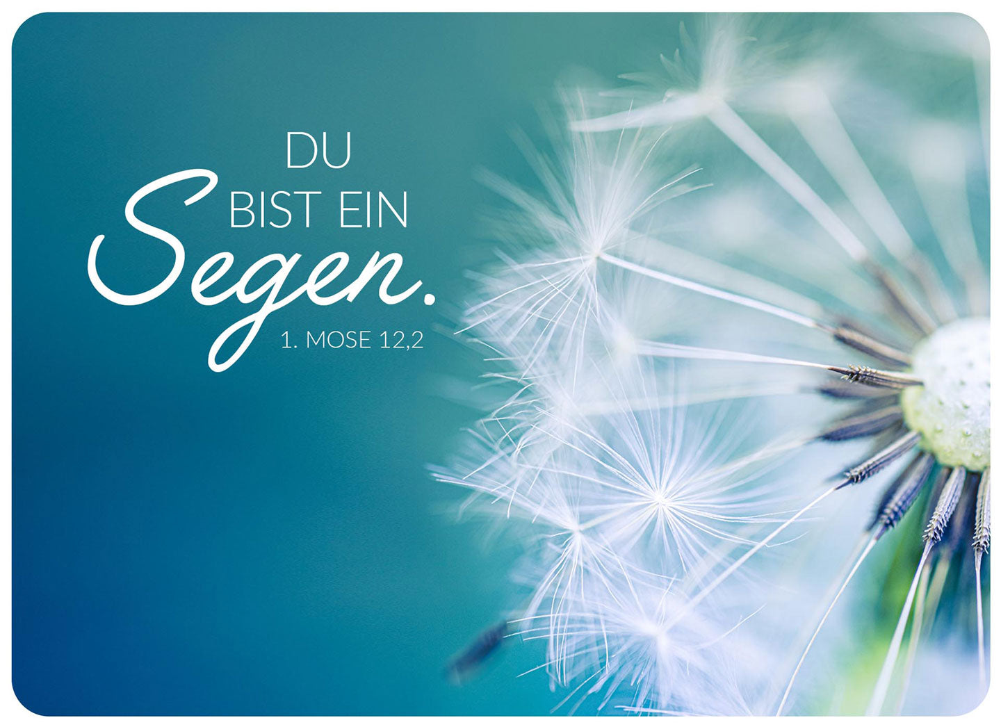 fontis-du-bist-ein-segen-postkarte-xl-11-5x16-segen image 1