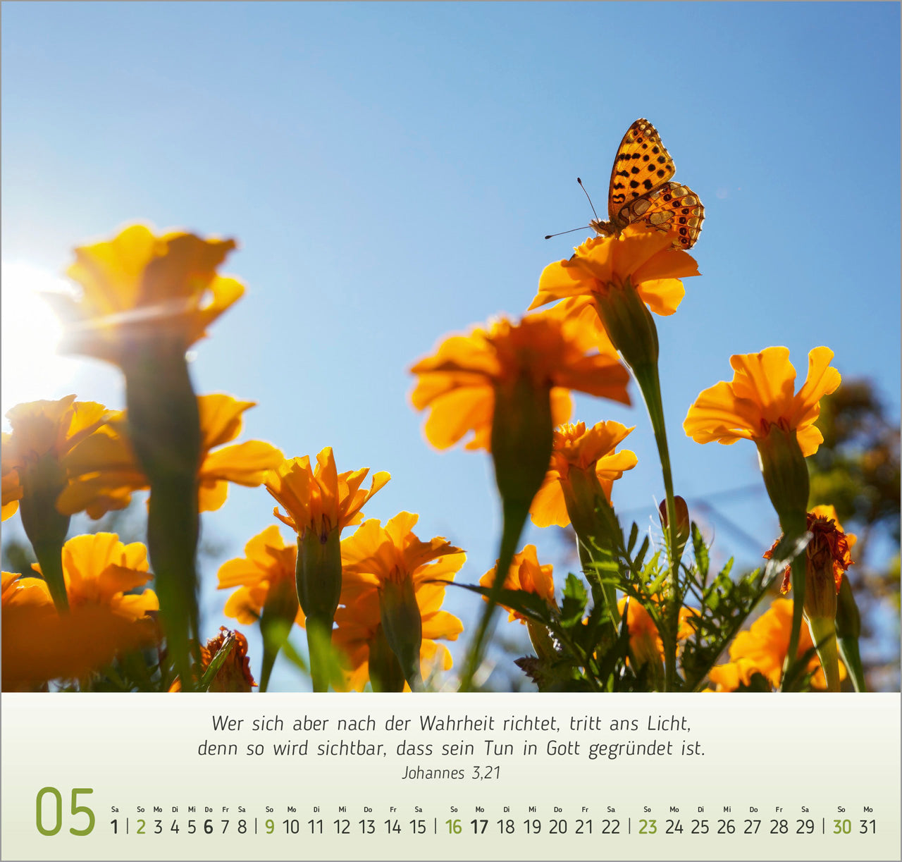 fontis-licht-impressionen-2027-wandkalender-bibelverse image 7