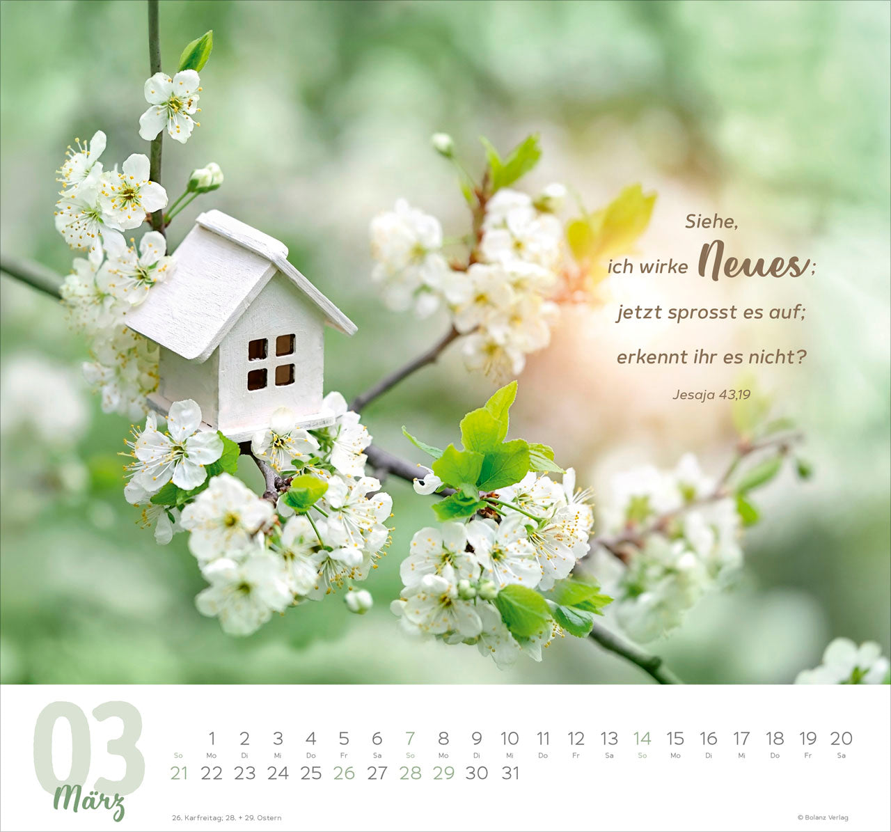 meine-zeit-2027-wandkalender-hoffnung-vertrauen-45x42-cm image 5