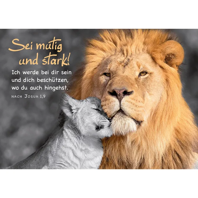 fontis-sei-mutig-und-stark-postkarten-12er-set-josua-1-9 image 1