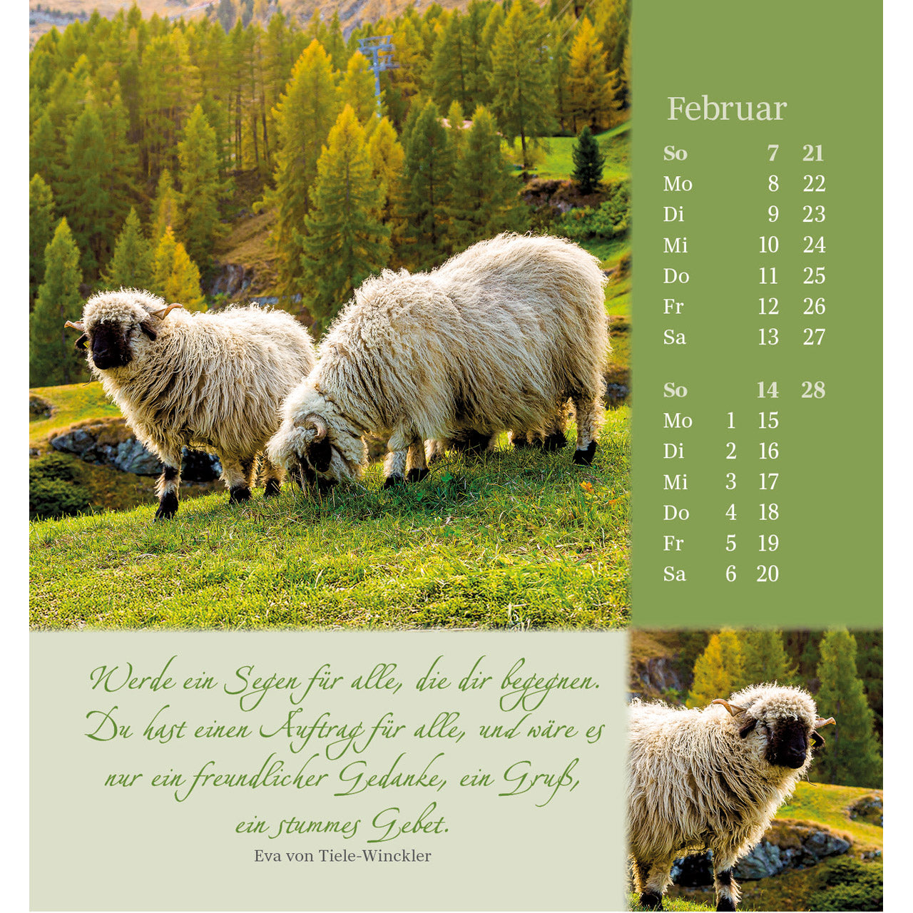 fontis-kalender-sei-beh-tet-und-geborgen-2027-aufstellkalender-psalm-23 image 4