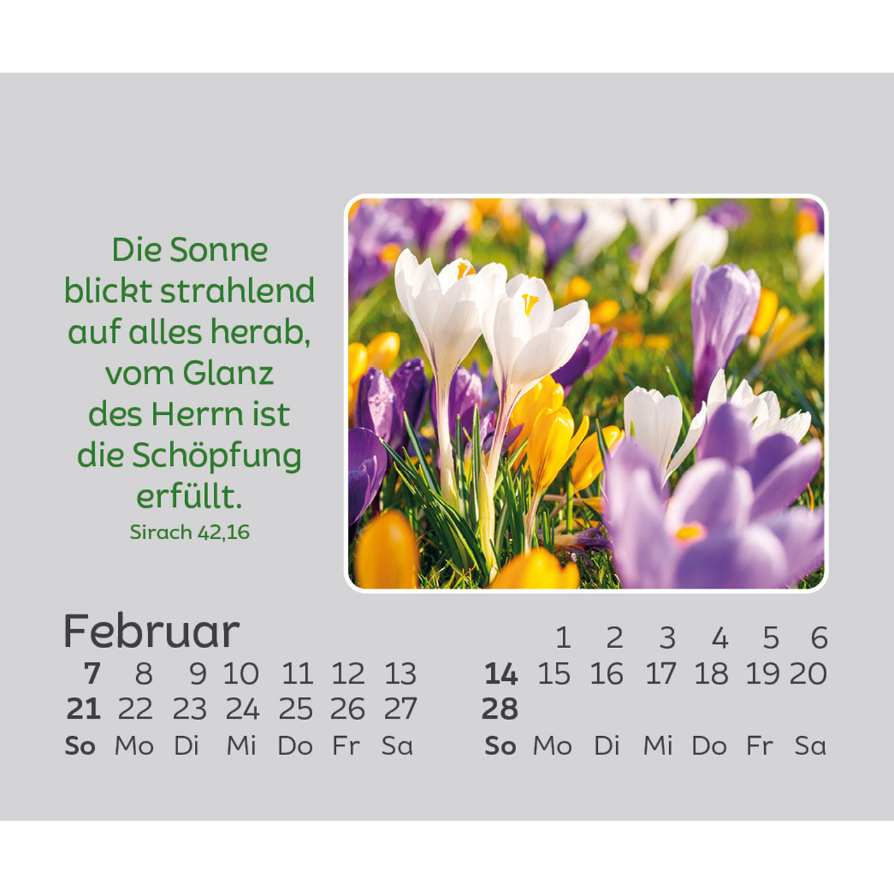 fontis-freude-f-r-jeden-tag-2027-aufstellkalender-mini-blumen image 4