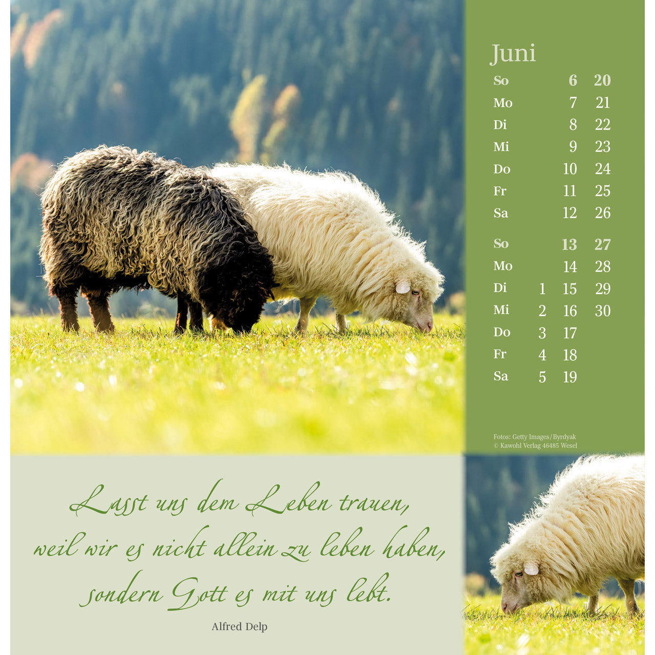 fontis-kalender-sei-beh-tet-auf-allen-wegen-2027-wandkalender image 8
