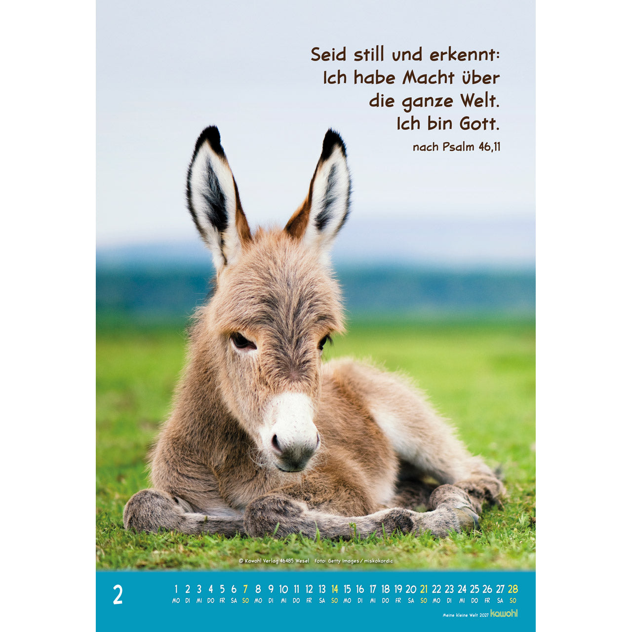 fontis-meine-kleine-welt-2027-wandkalender-f-r-kinder-tierfotos image 4
