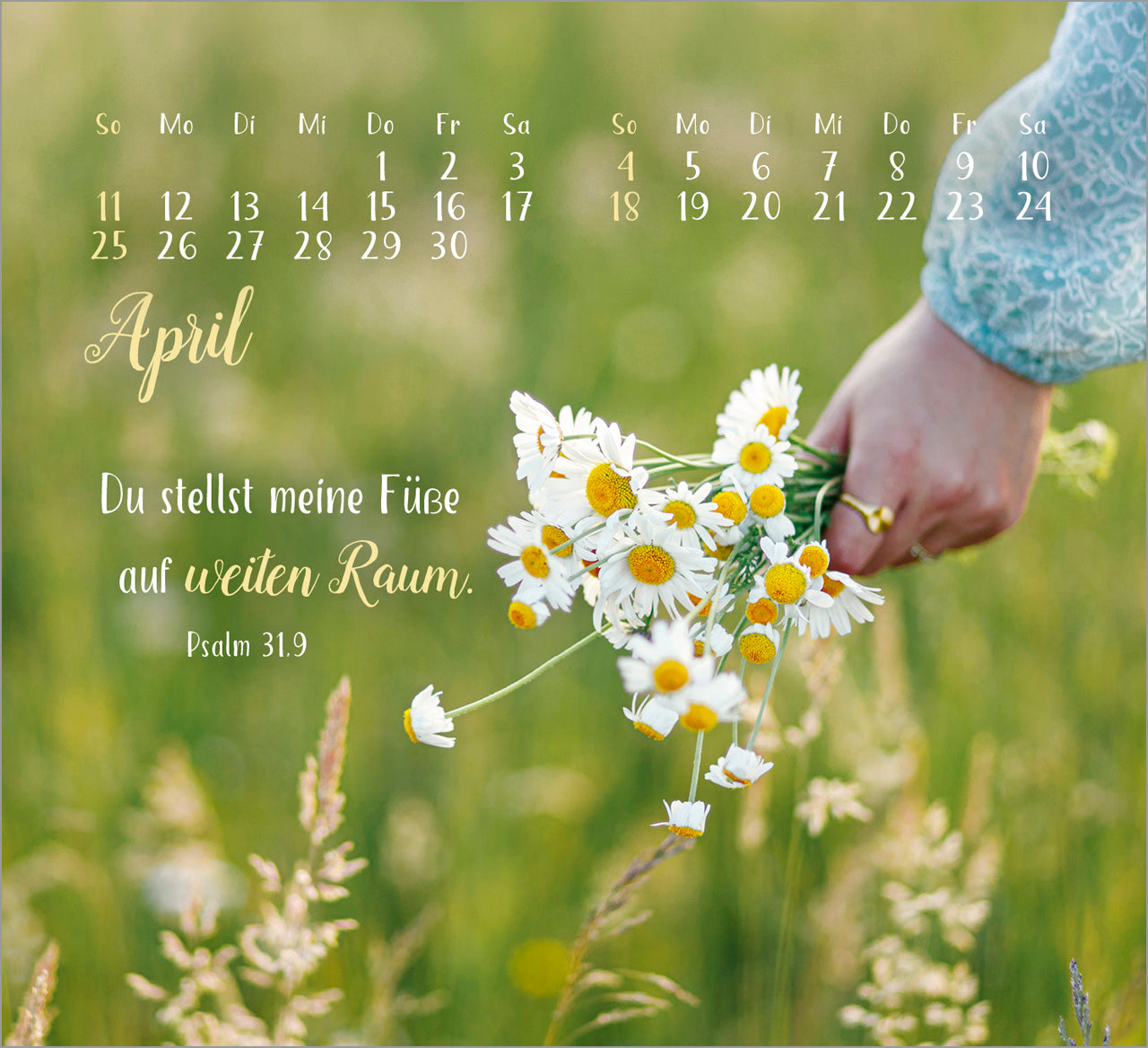 fontis-kalender-sei-gesegnet-2027-aufstellkalender-tisch image 6