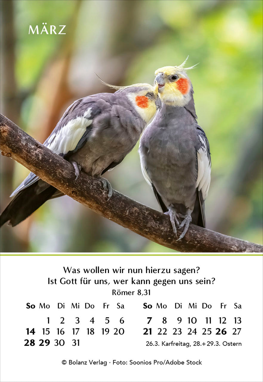 fontis-kalender-ein-jahr-der-geborgenheit-2027-minikalender-7-5x10-9 image 5