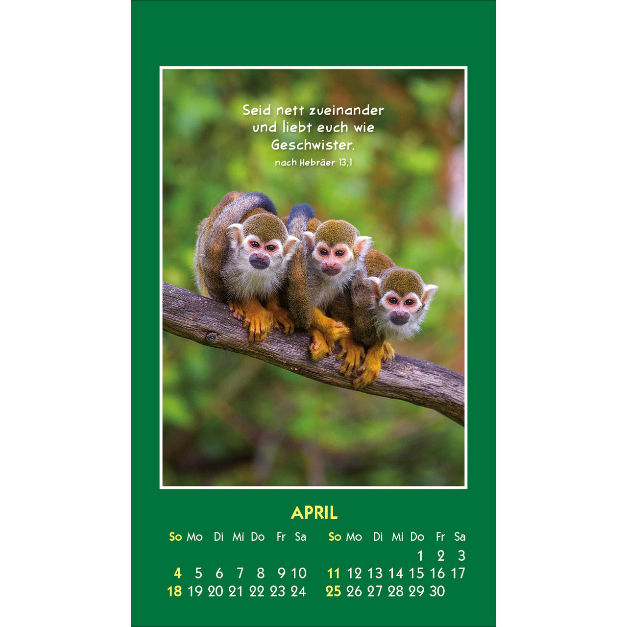fontis-kalender-hallo-du-2027-aufkleberkalender-tiere image 6