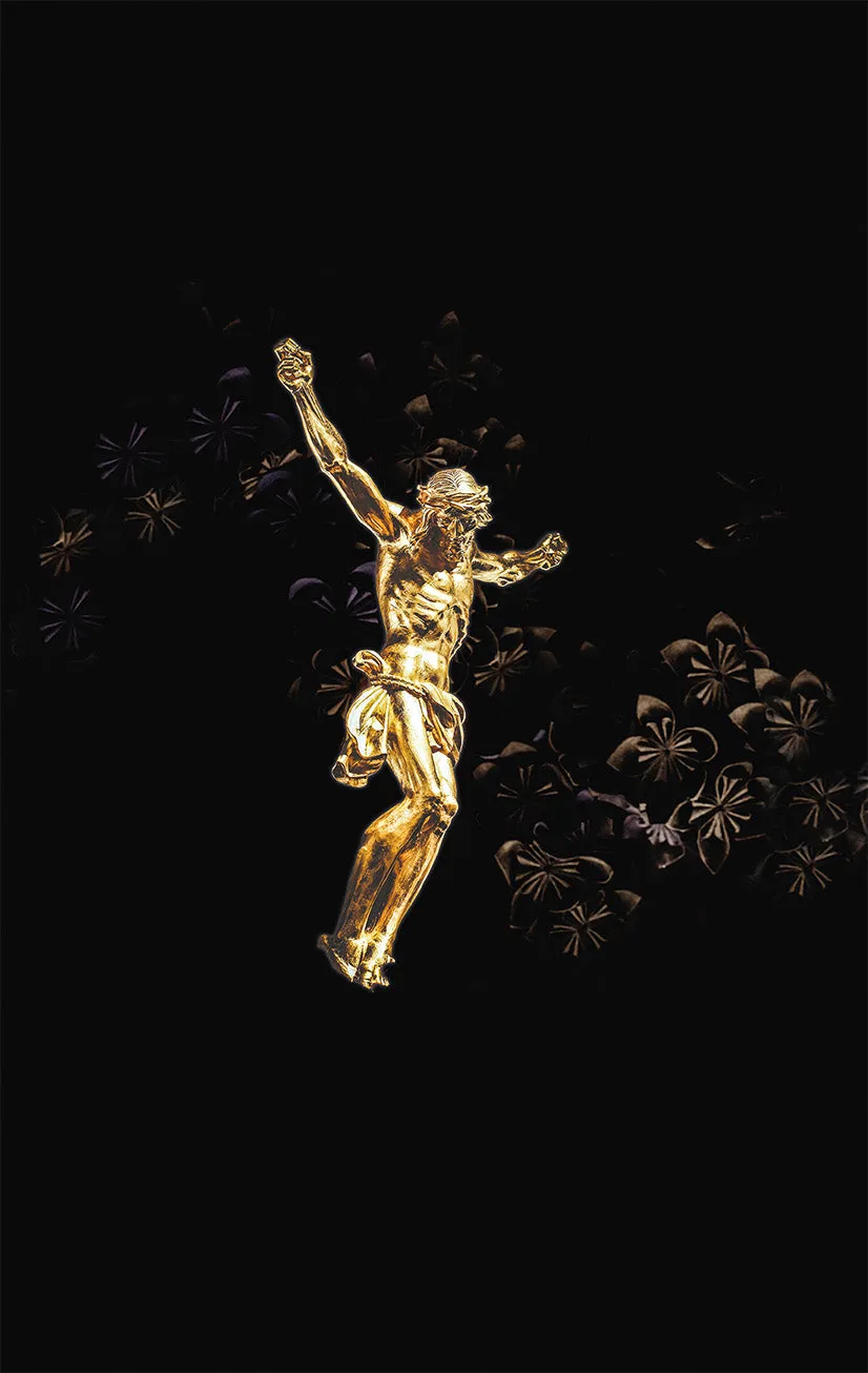 fontis-hoffnung-f-r-alle-golden-jesus-edition-bibel-deluxe-gro-format image 1