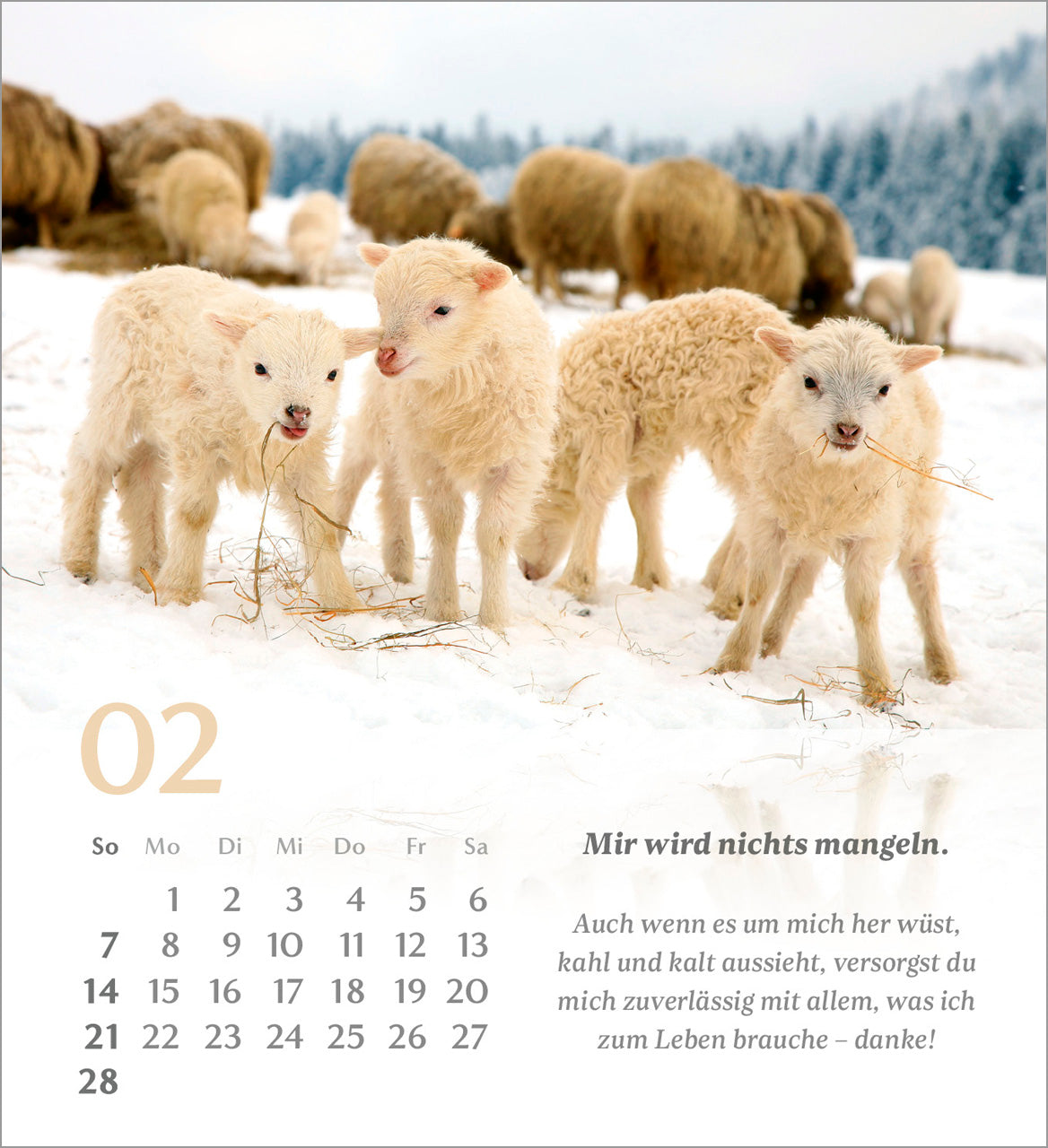 psalm-23-der-herr-ist-mein-hirte-2027-aufstellkalender image 4