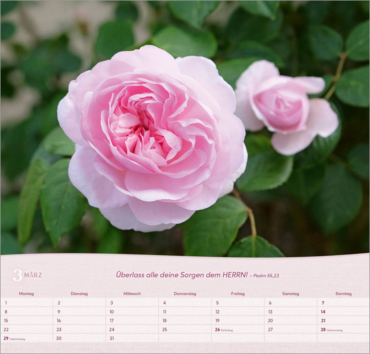 bolanz-rosen-2027-wandkalender-spiralbindung-bibelvers image 5