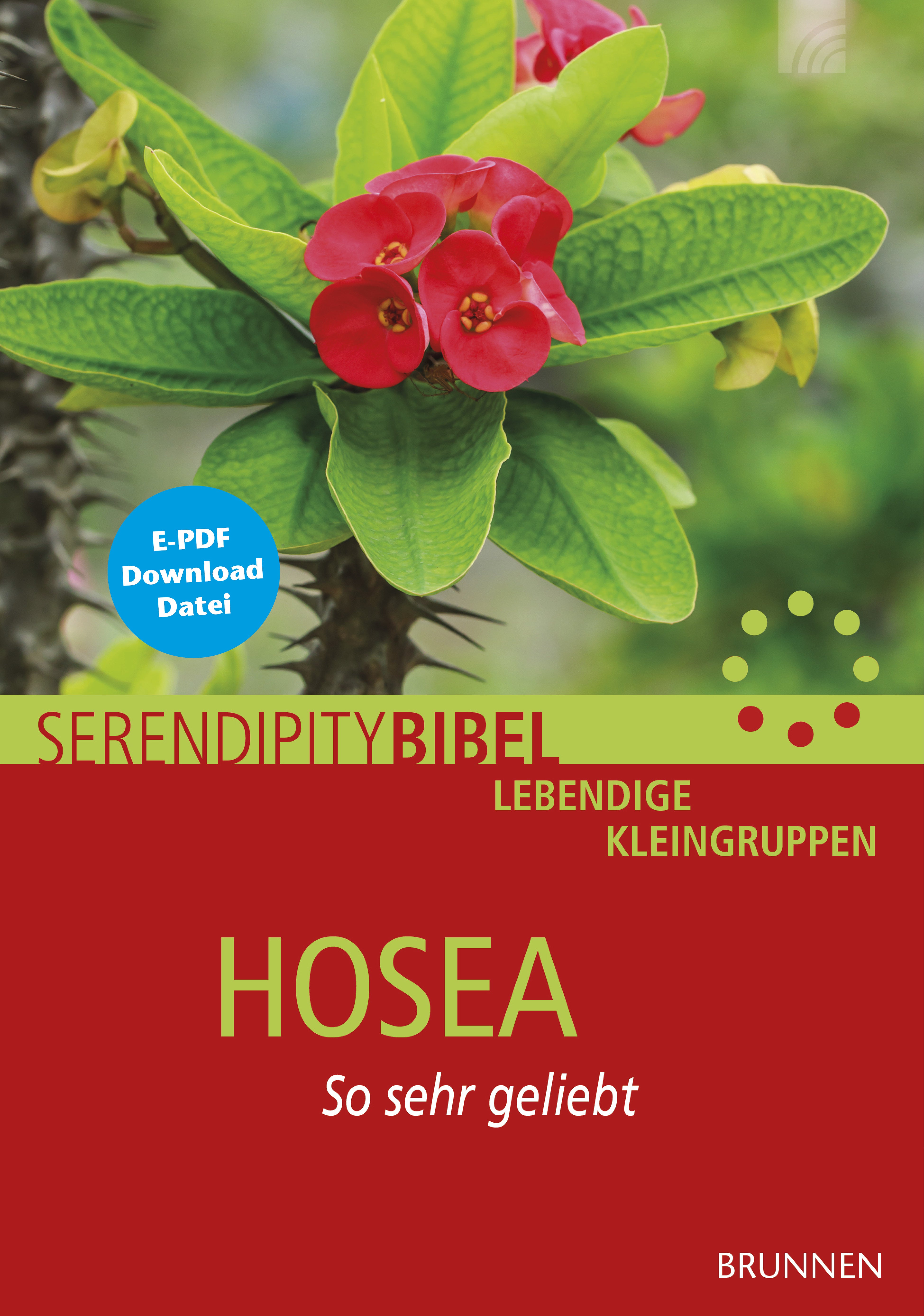 hosea-so-sehr-geliebt-serendipity-bibel-e-book-astrid-figel image 1