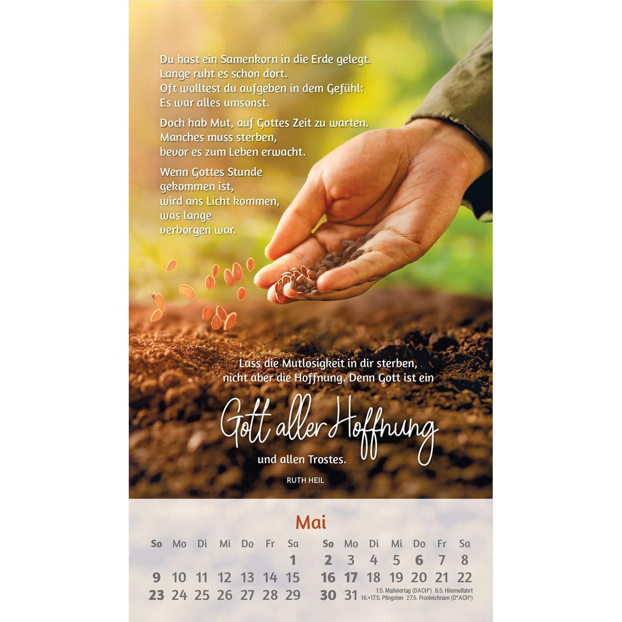 fontis-kalender-du-bist-mir-so-wertvoll-2027-postkartenkalender image 7