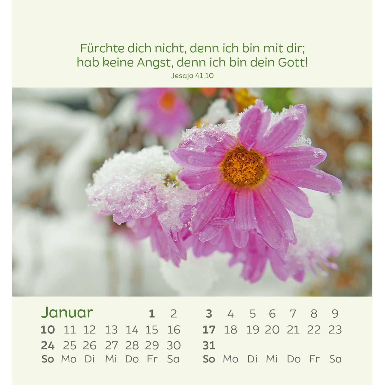 kleine-blumengr-e-2027-aufstellkalender-blumenmotive image 3