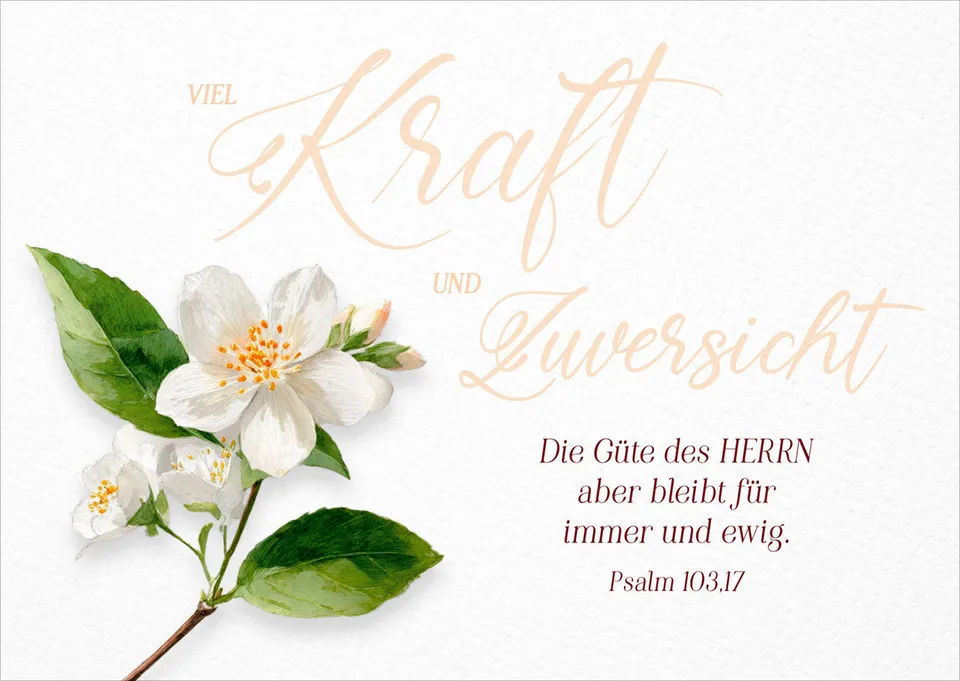fontis-viel-kraft-und-zuversicht-postkarten-12er-set-psalm-103 image 1