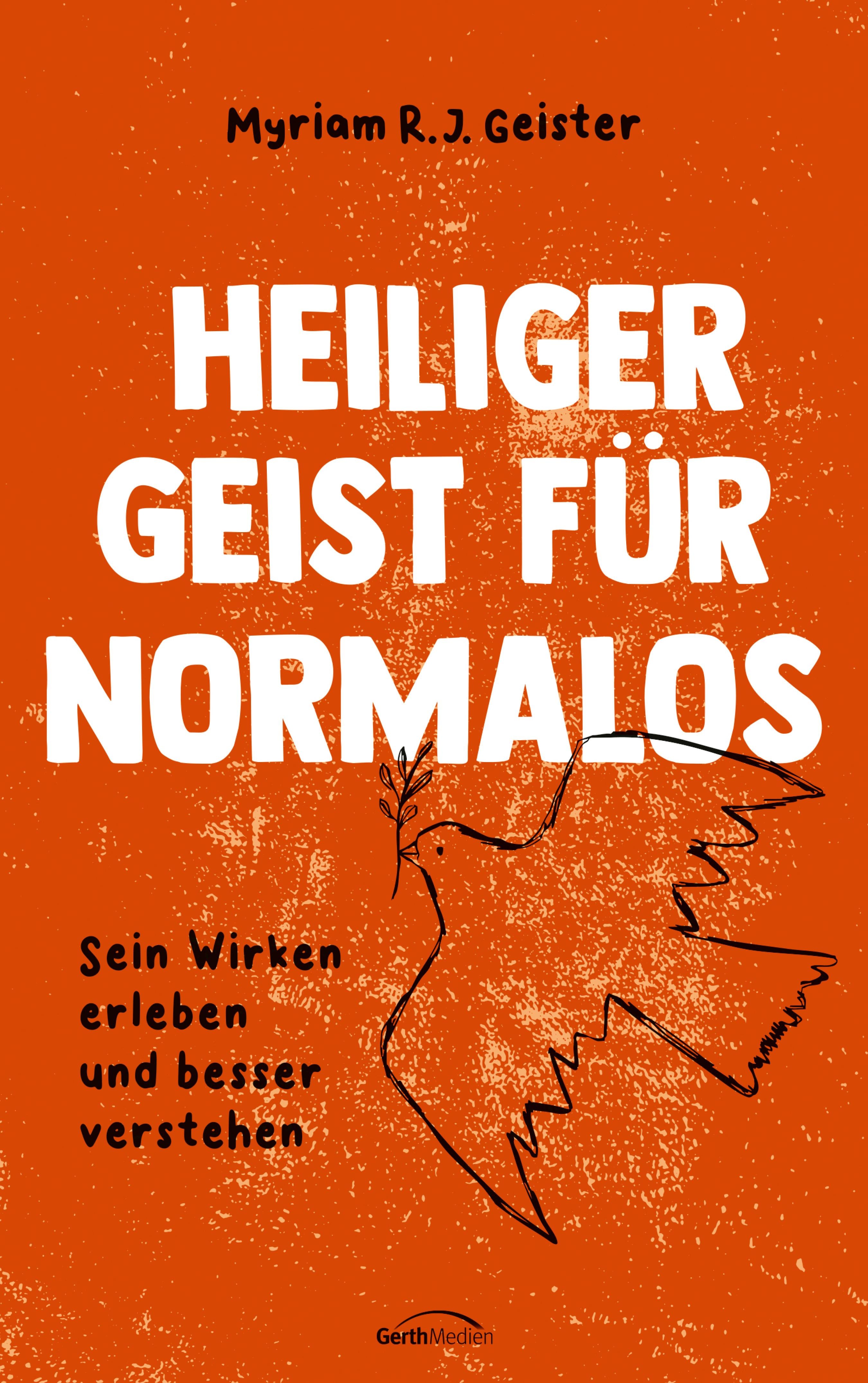 heiliger-geist-f-r-normalos-e-book-myriam-geister-ratgeber image 1