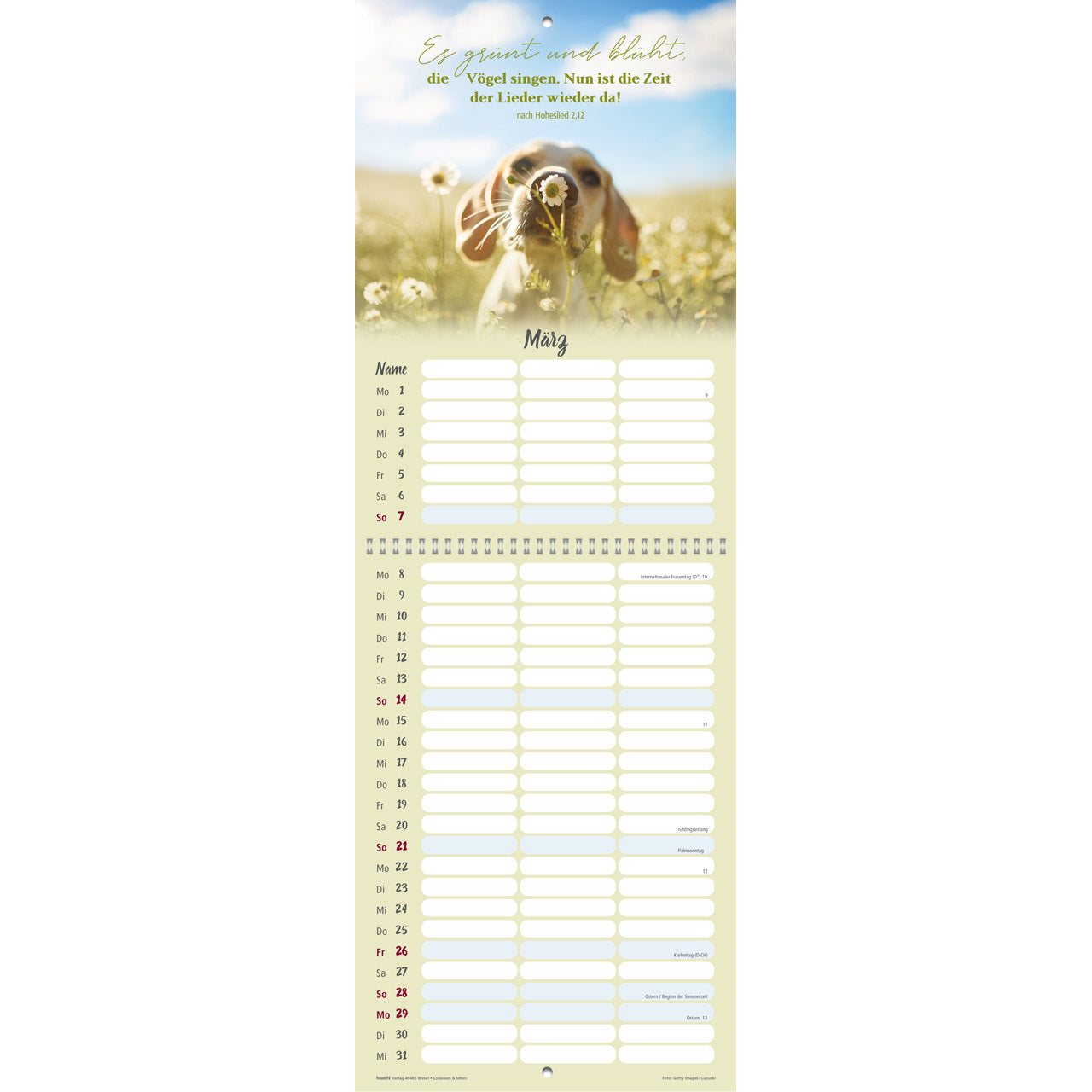 fontis-kalender-loslassen-leben-2027-wandkalender-3-spalten image 5