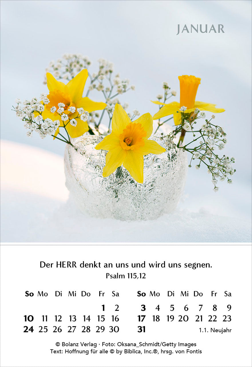 fontis-kalender-ein-jahr-der-freude-2027-minikalender-blumen image 3