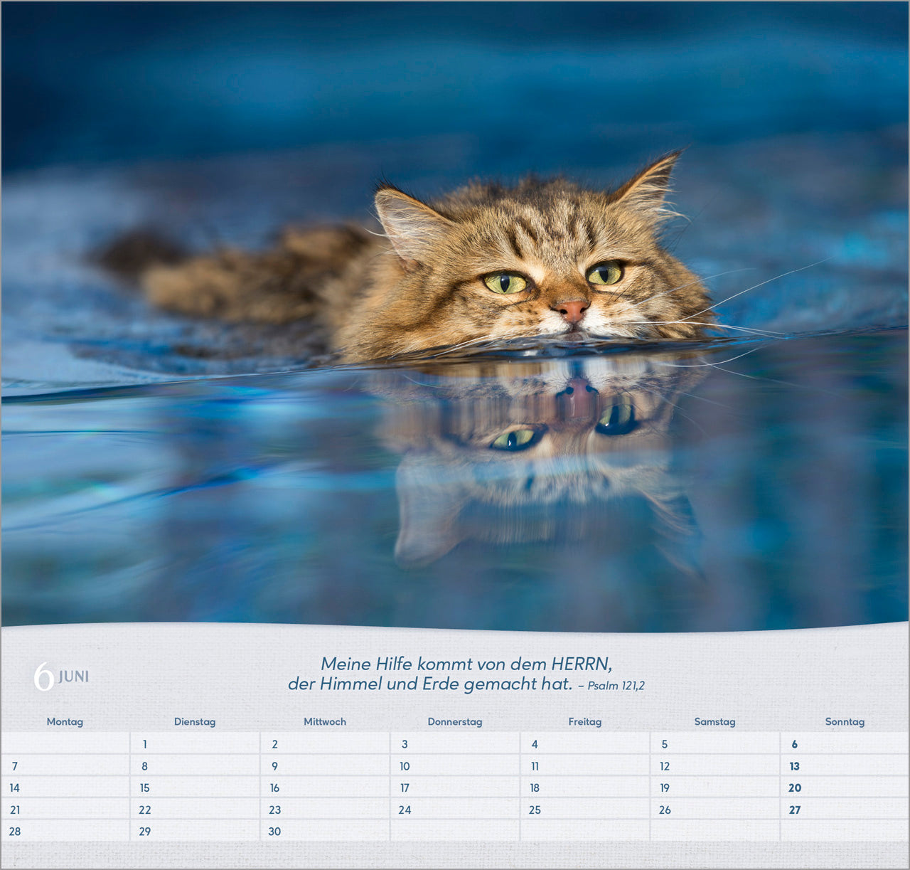 katzen-2027-wandkalender-spiralbindung-bibelvers-33-5x32 image 8