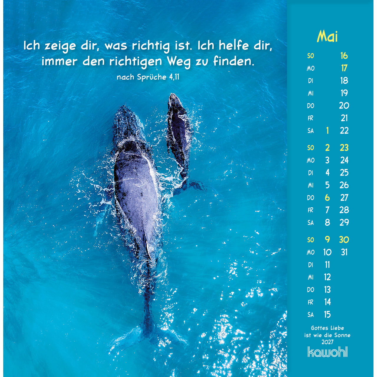 fontis-kalender-gottes-liebe-ist-wie-die-sonne-2027-postkartenkalender-tiere image 7