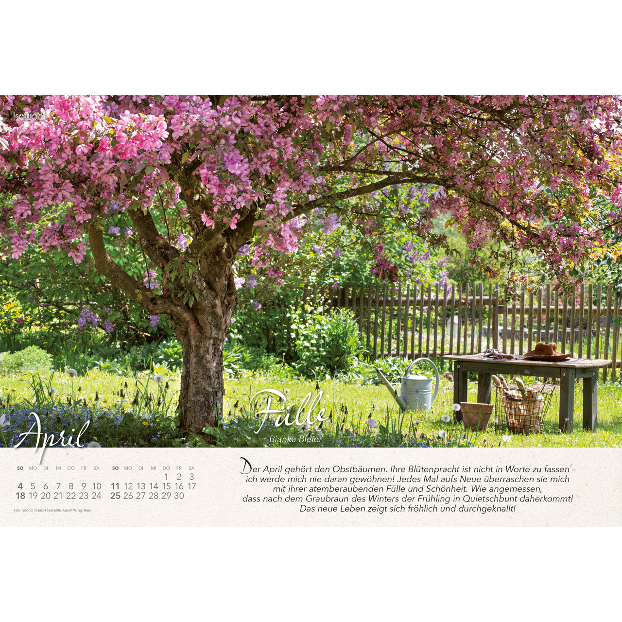 fontis-kalender-wo-himmel-und-erde-sich-ber-hren-2027-wandkalender image 6