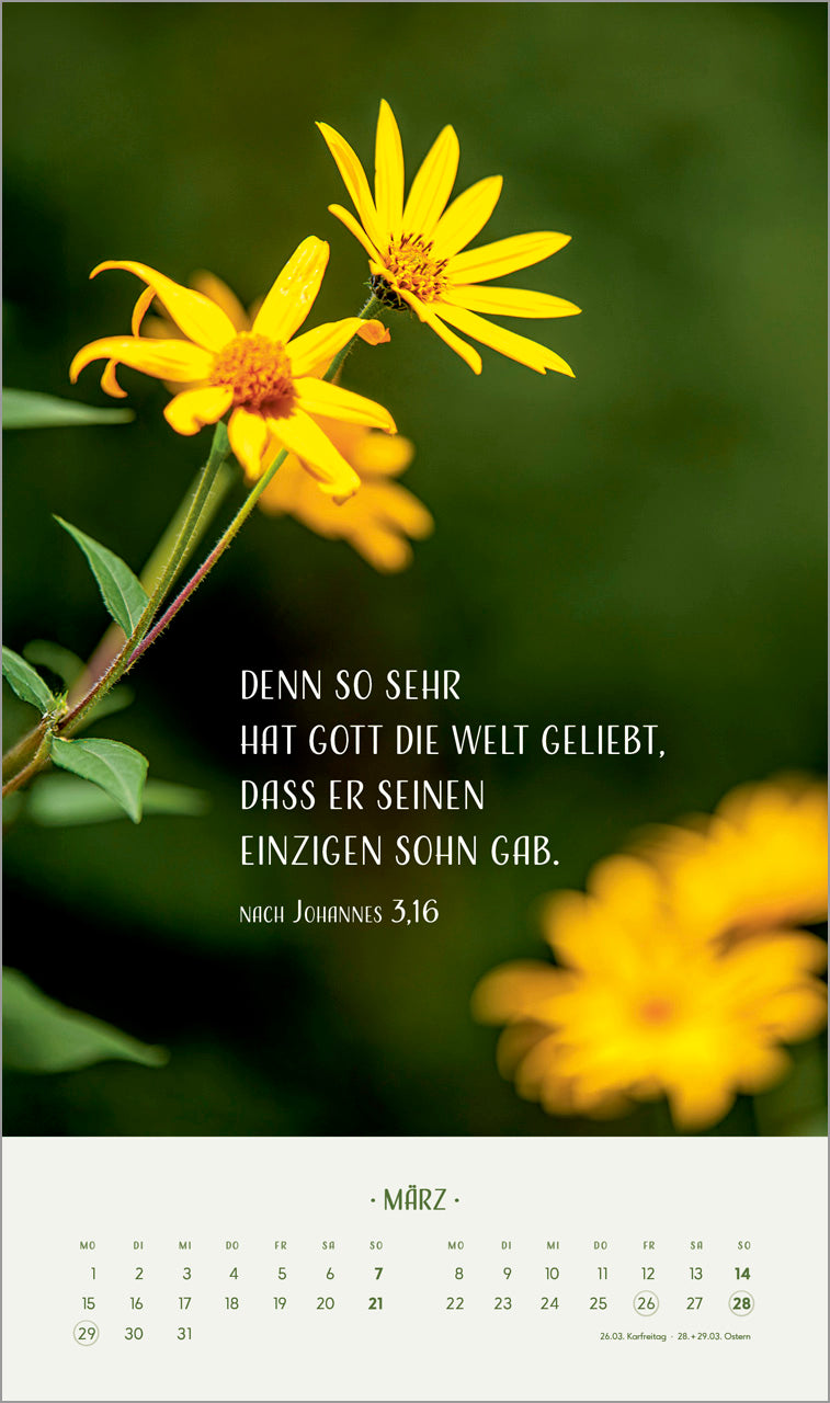 fontis-kalender-zarte-blumengr-e-2027-posterkalender-29x49 image 5