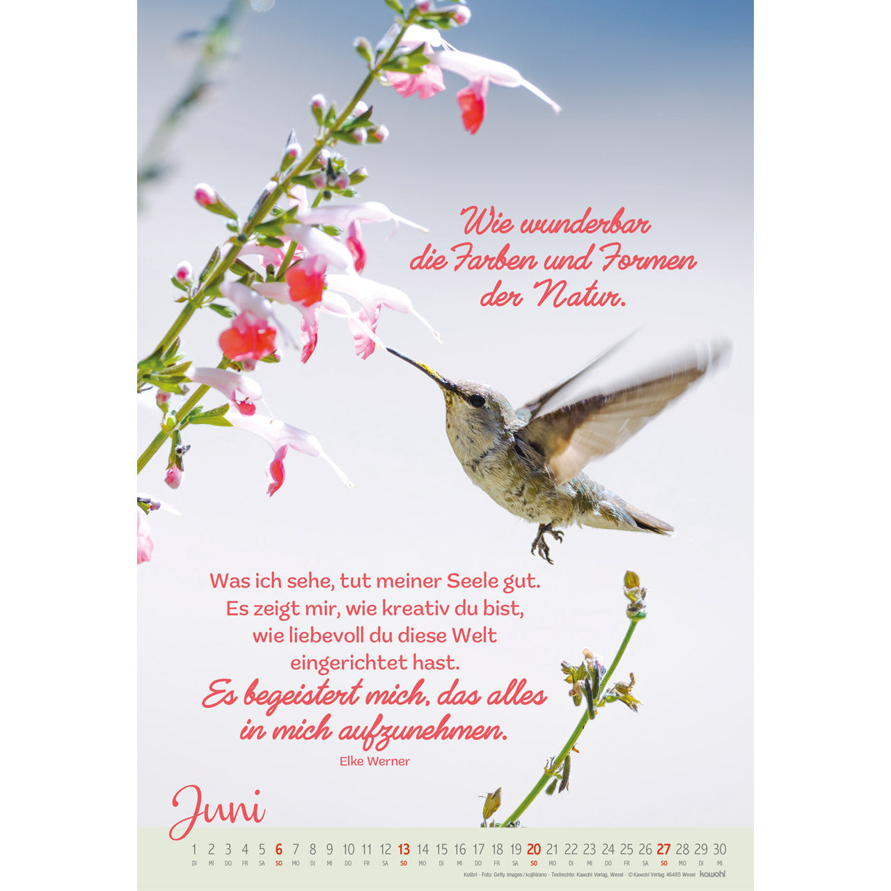kawohl-befl-gelt-und-getragen-v-gel-2027-wandkalender image 8