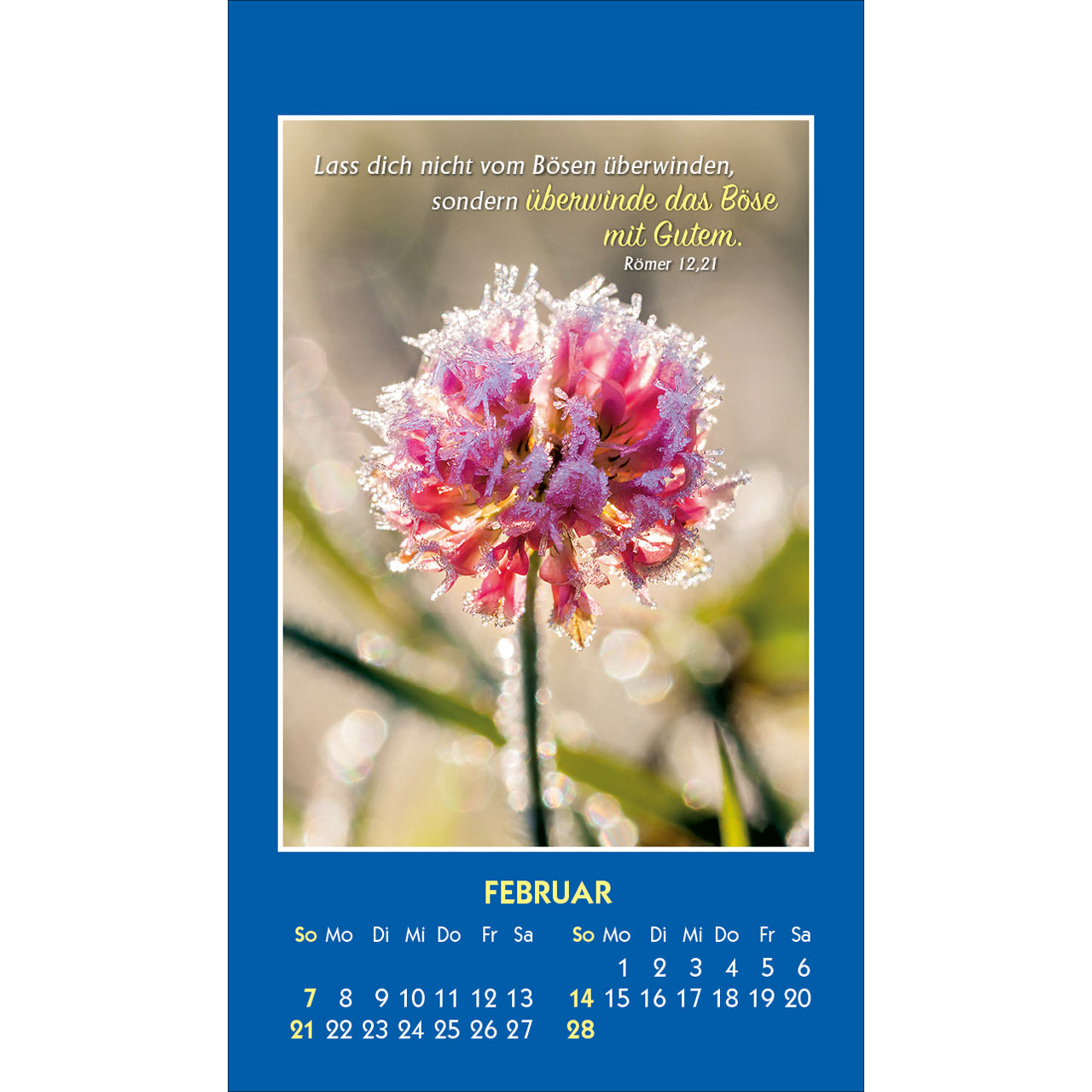 fontis-kalender-gottes-wort-licht-f-r-den-tag-2027-aufkleber image 4