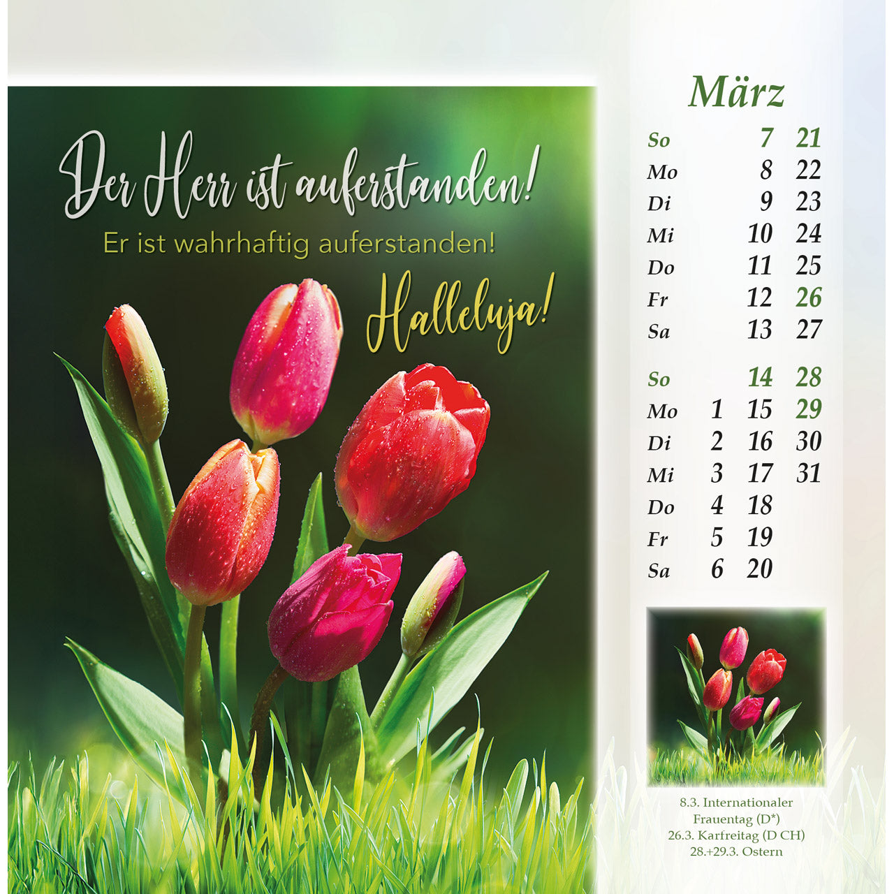 fontis-kalender-licht-vom-unersch-pften-lichte-2027-postkarten image 5
