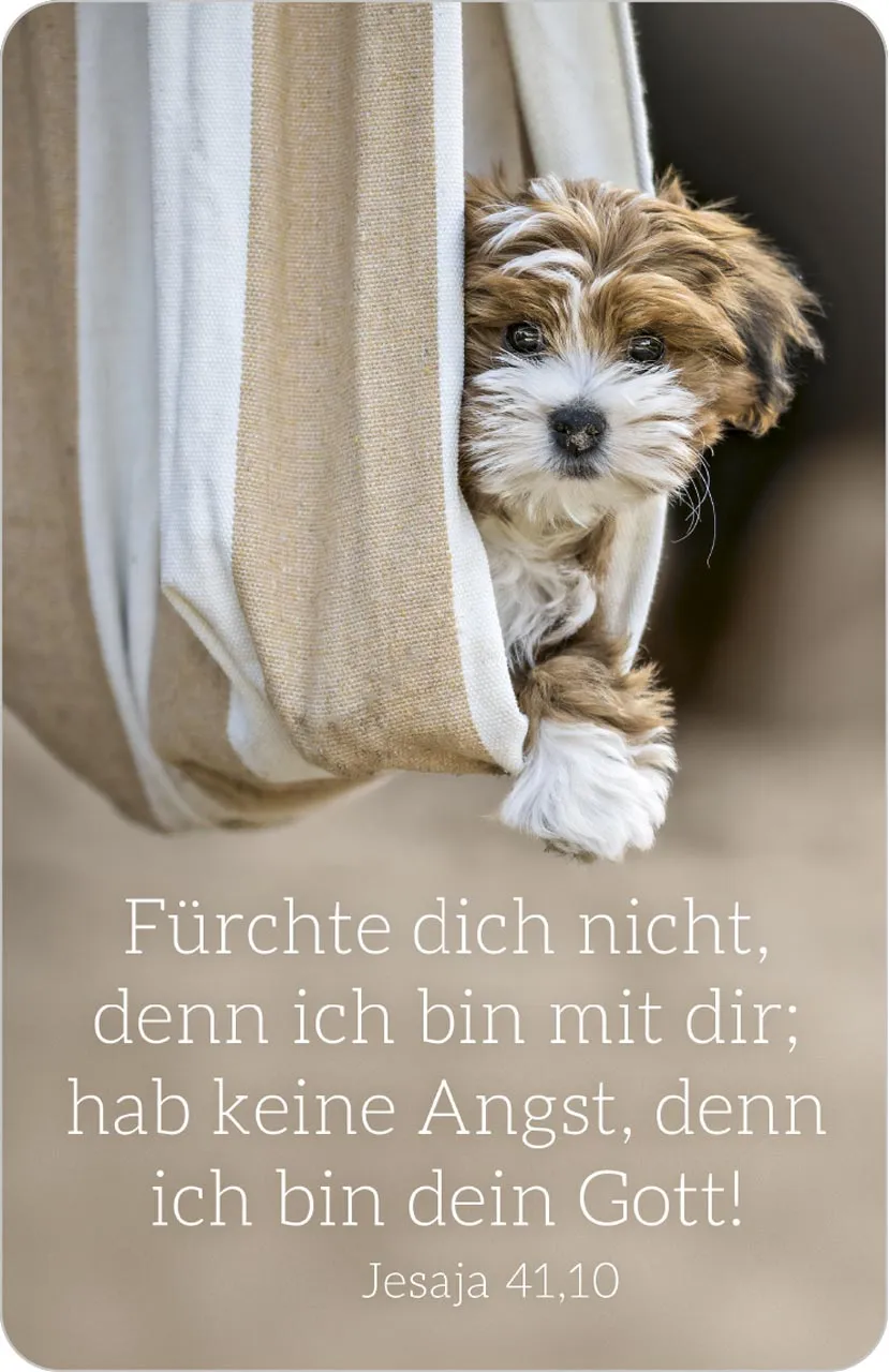 f-rchte-dich-nicht-hund-2027-kalenderk-rtchen-scheckformat image 1