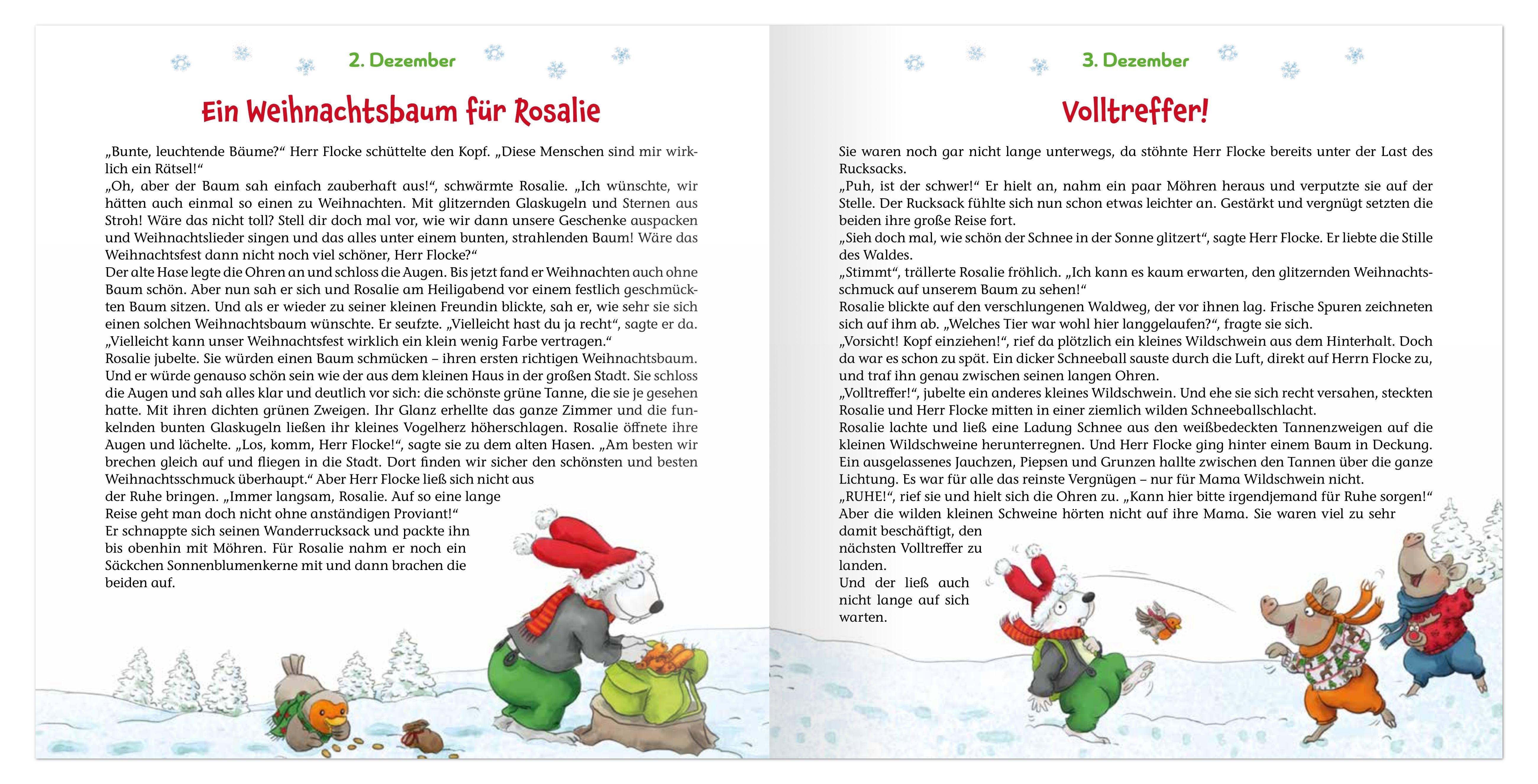 fontis-kalender-ein-weihnachtsbaum-f-r-die-tiere-adventsbox-ab-4 image 3